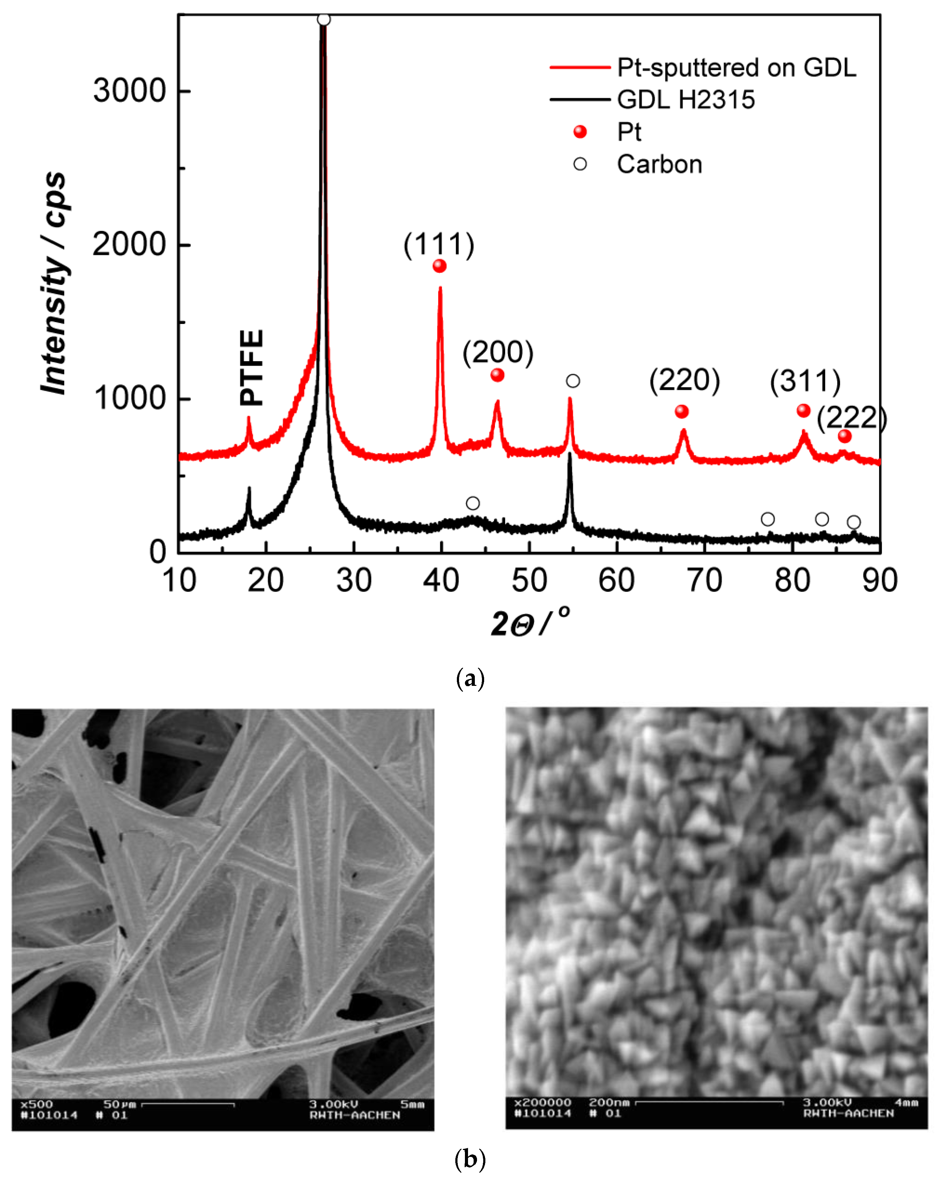 Membranes 13 00594 g003