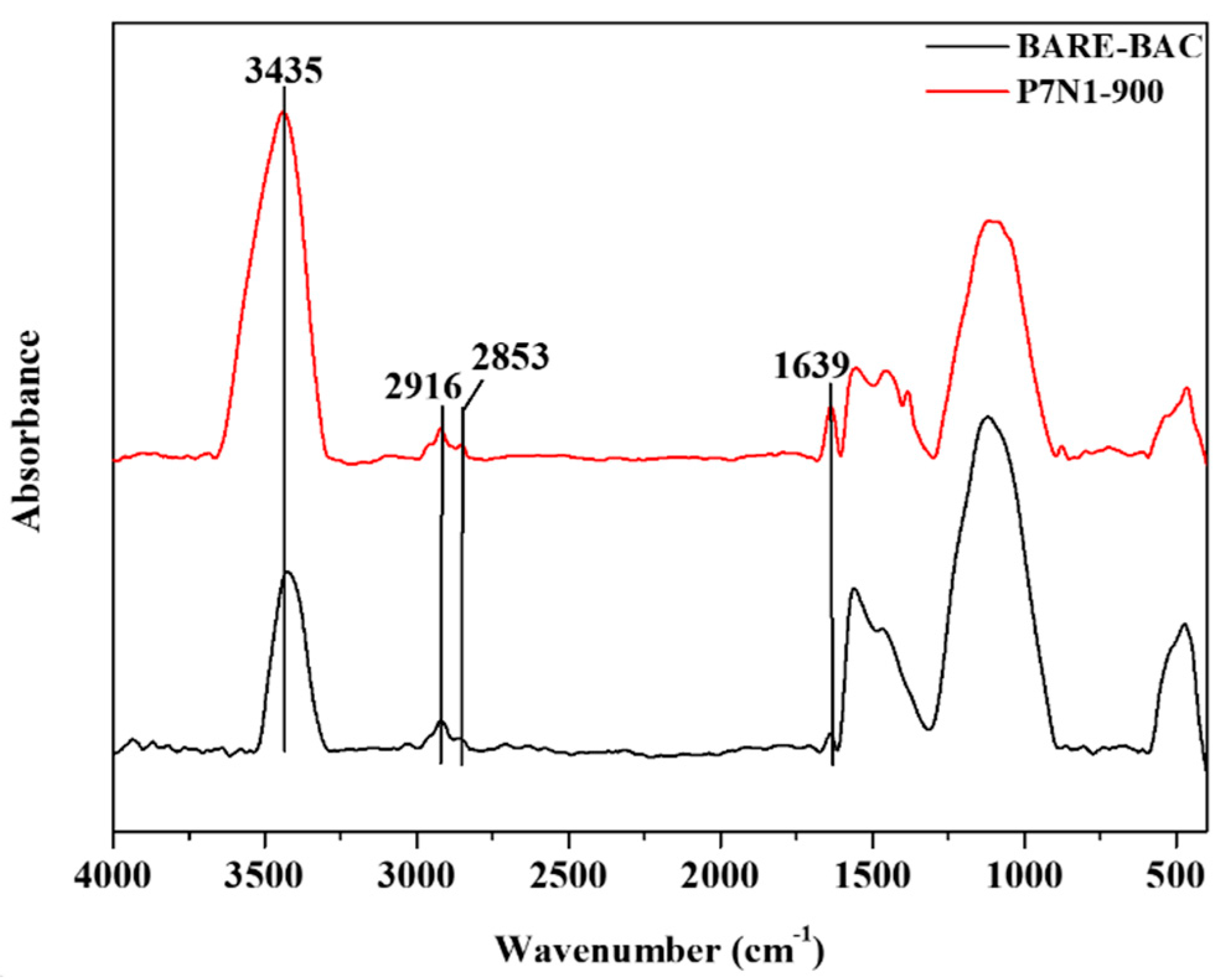 Membranes 13 00595 g003