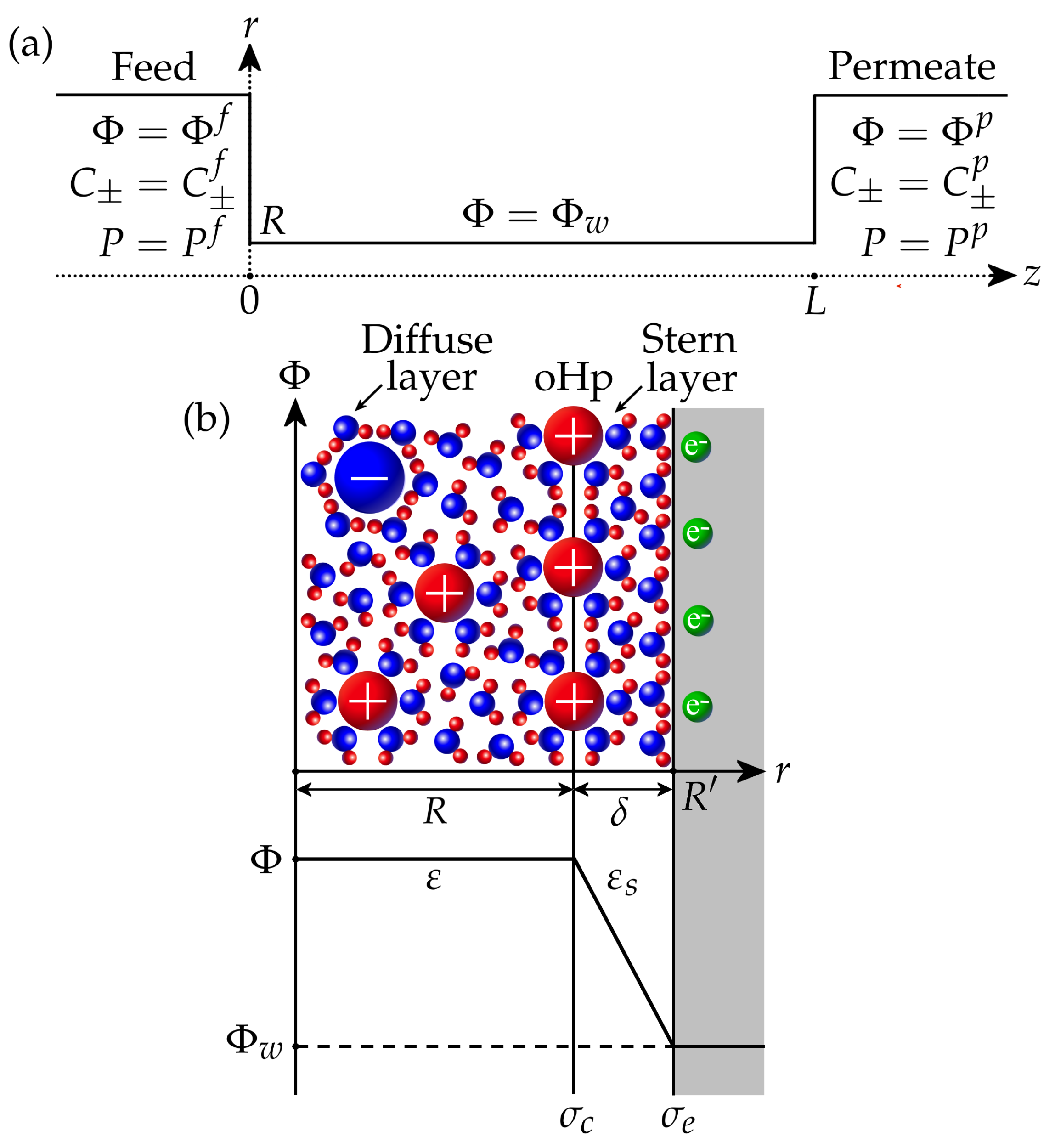 Membranes 13 00596 g001