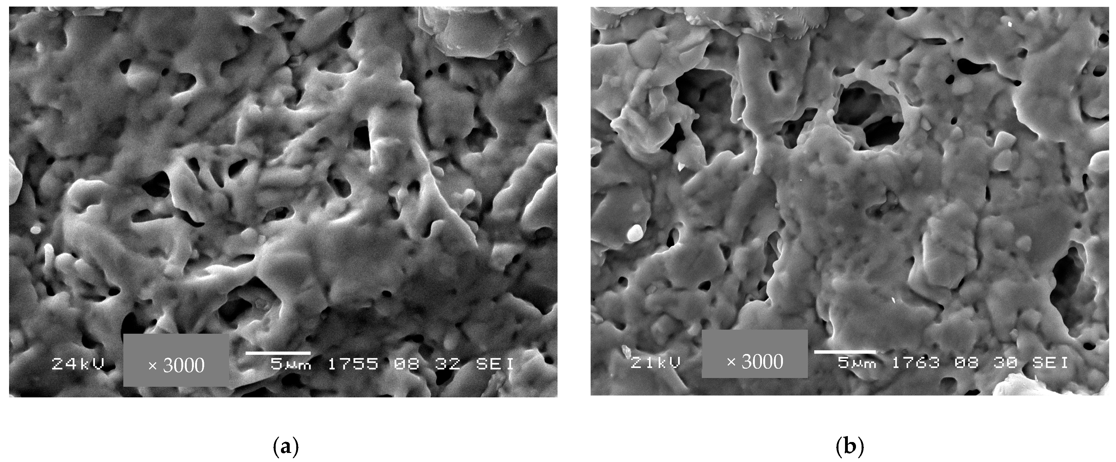 Membranes 13 00598 g005