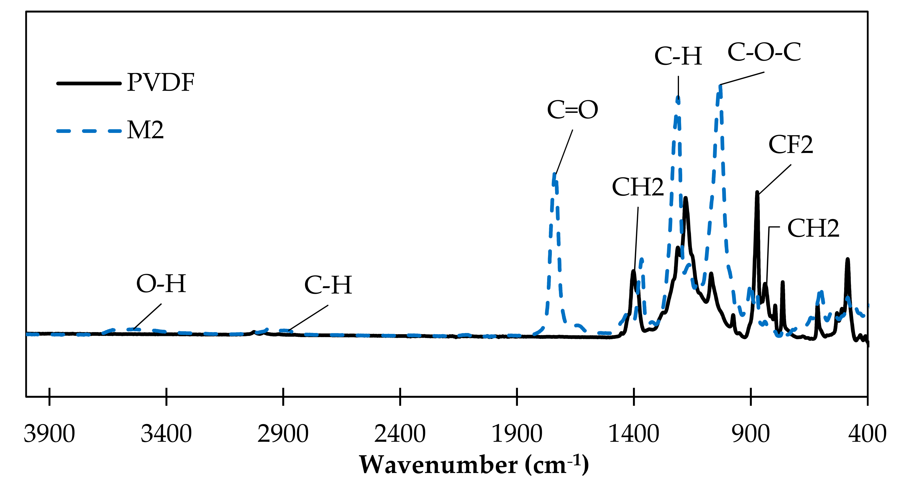 Membranes 13 00599 g002