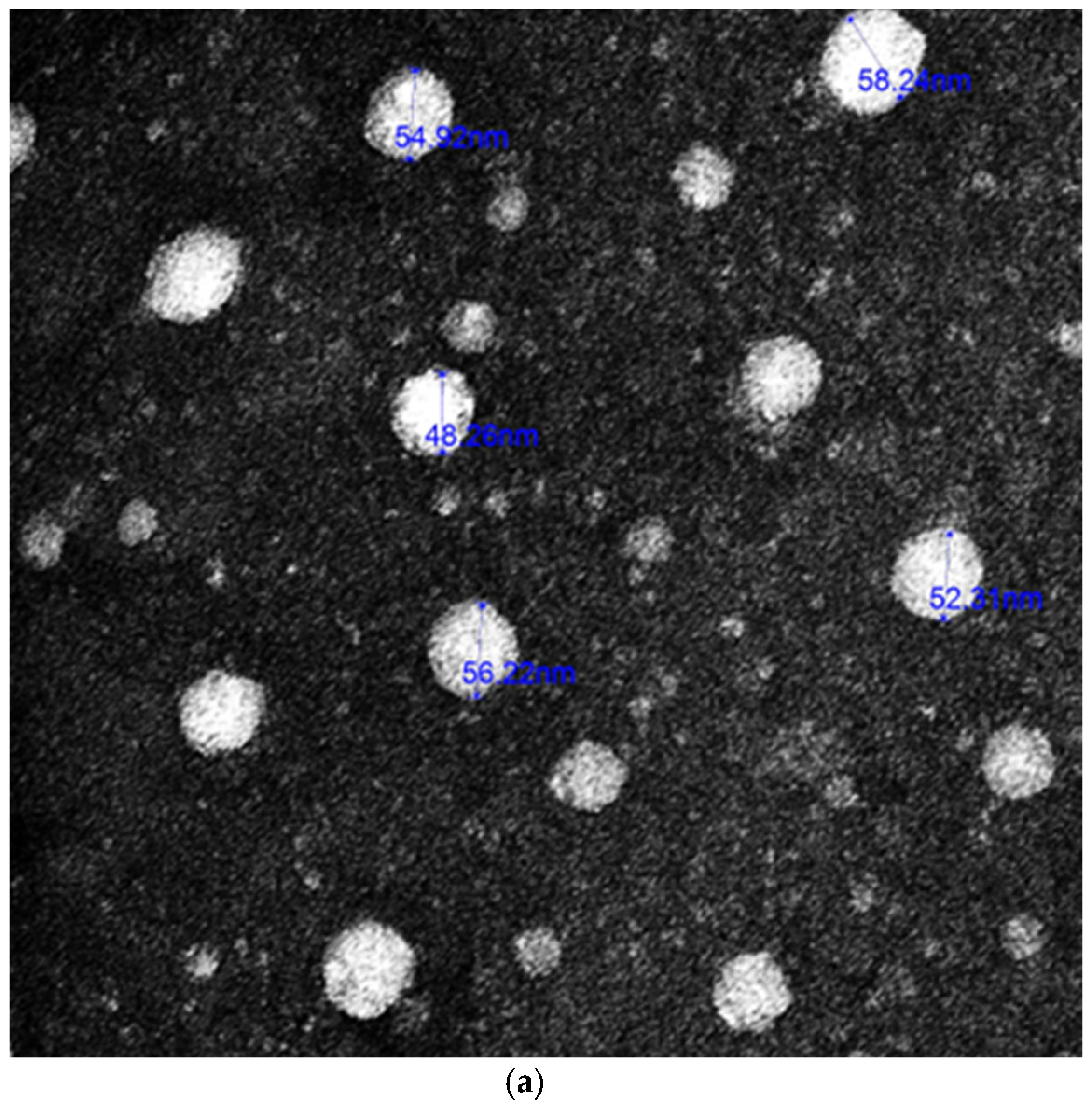 Membranes 13 00604 g001a