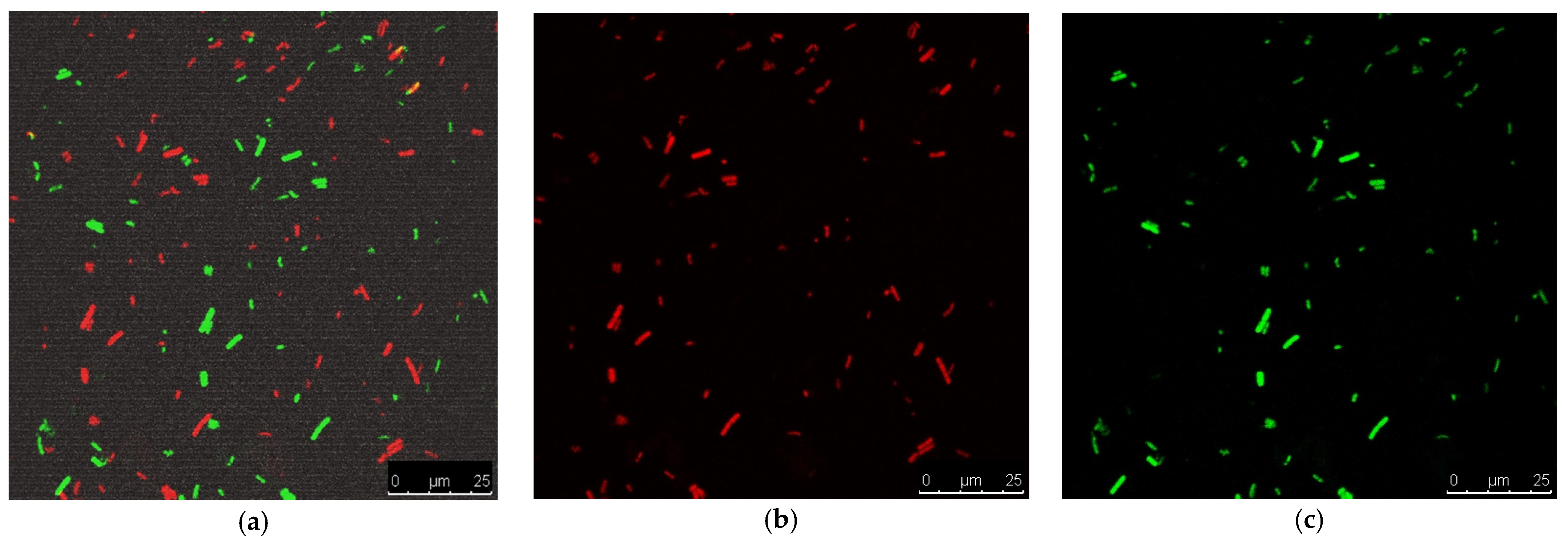 Membranes 13 00604 g007