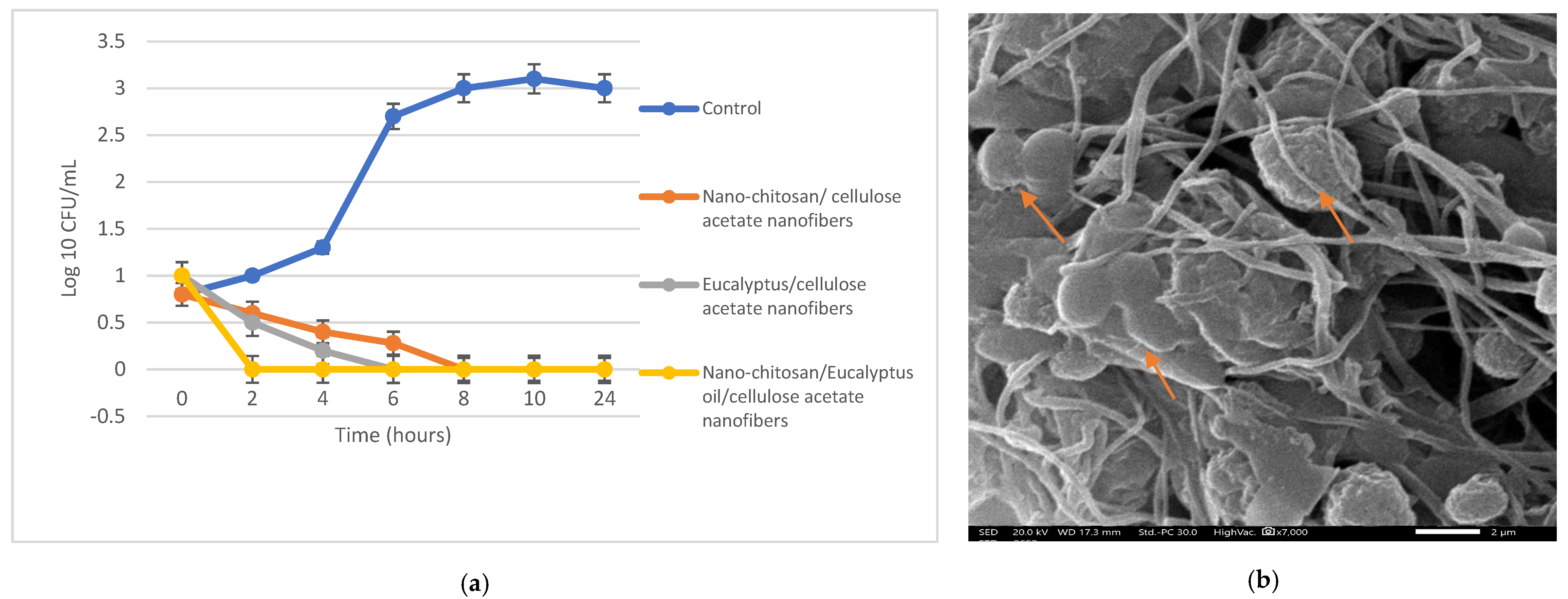Membranes 13 00604 g008