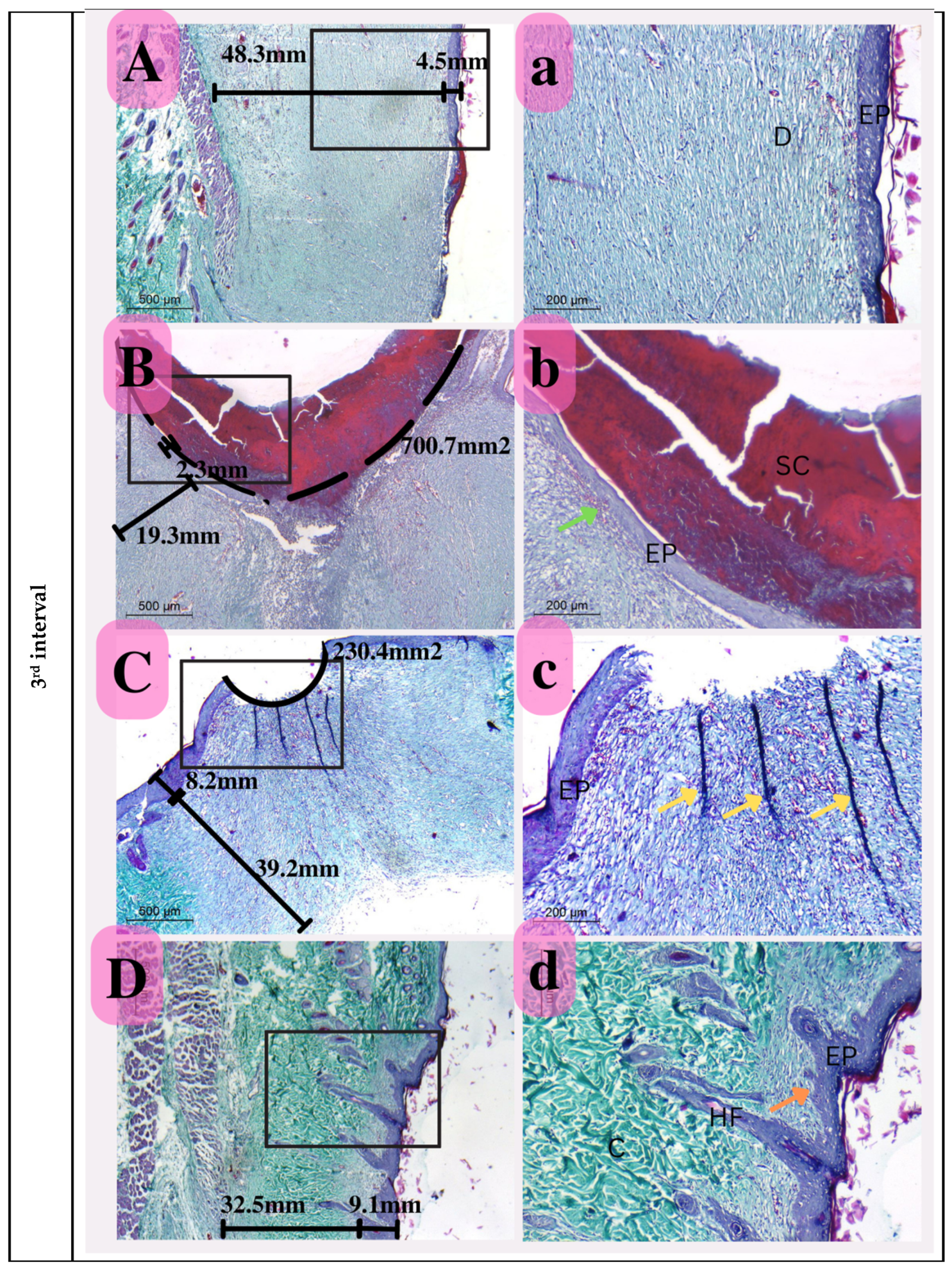 Membranes 13 00604 g014c