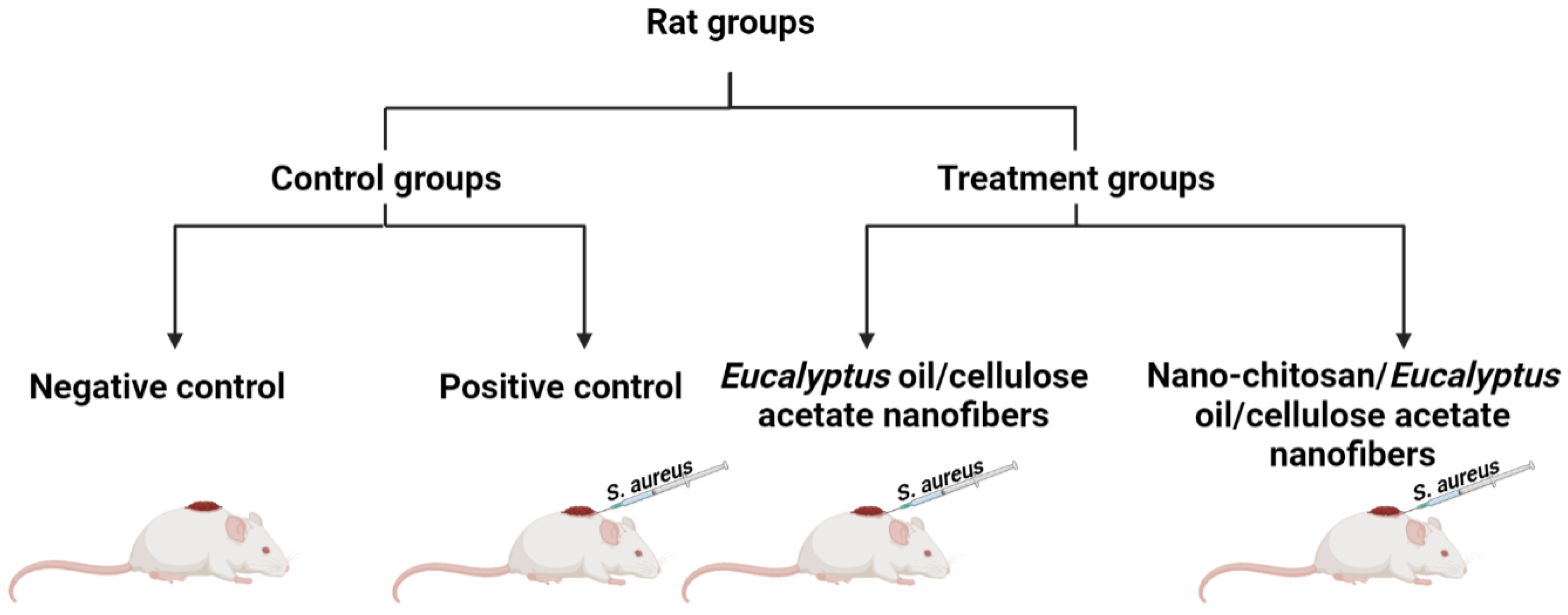 Membranes 13 00604 sch001