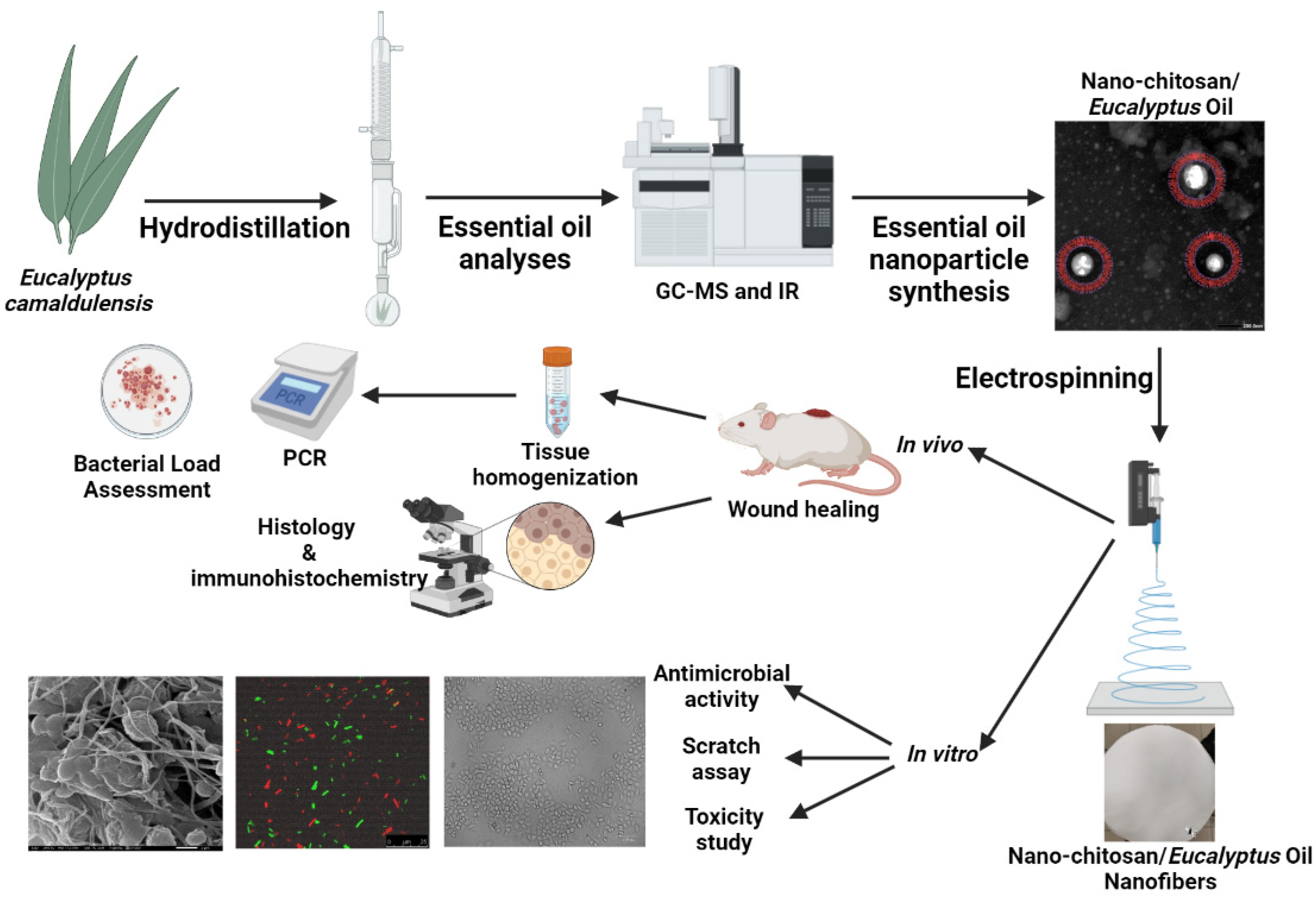 Membranes 13 00604 sch002