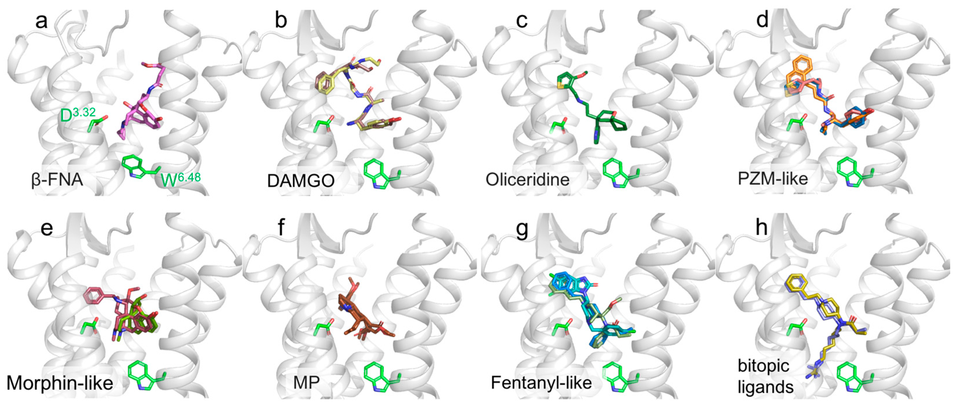 Membranes 13 00606 g004