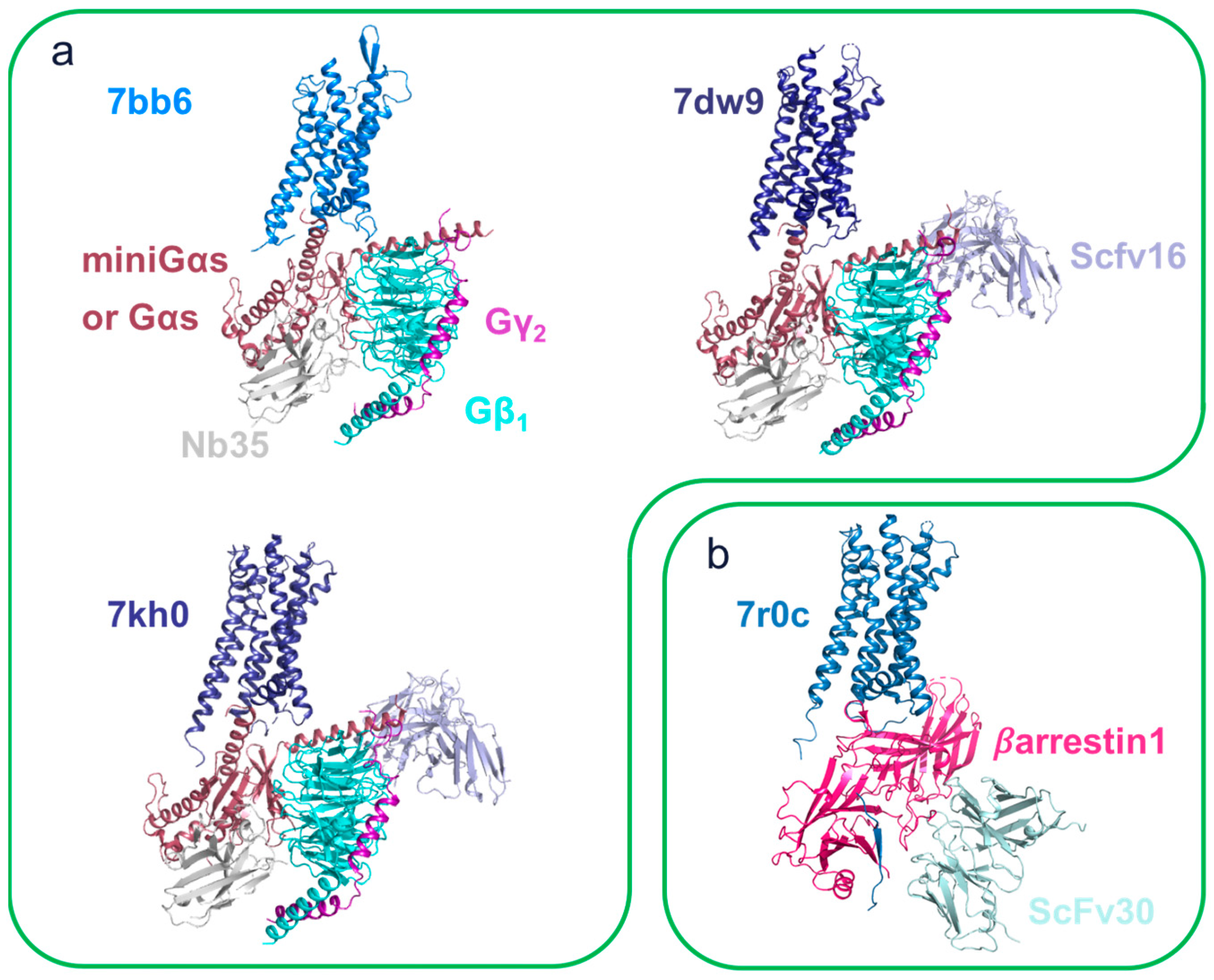 Membranes 13 00606 g006