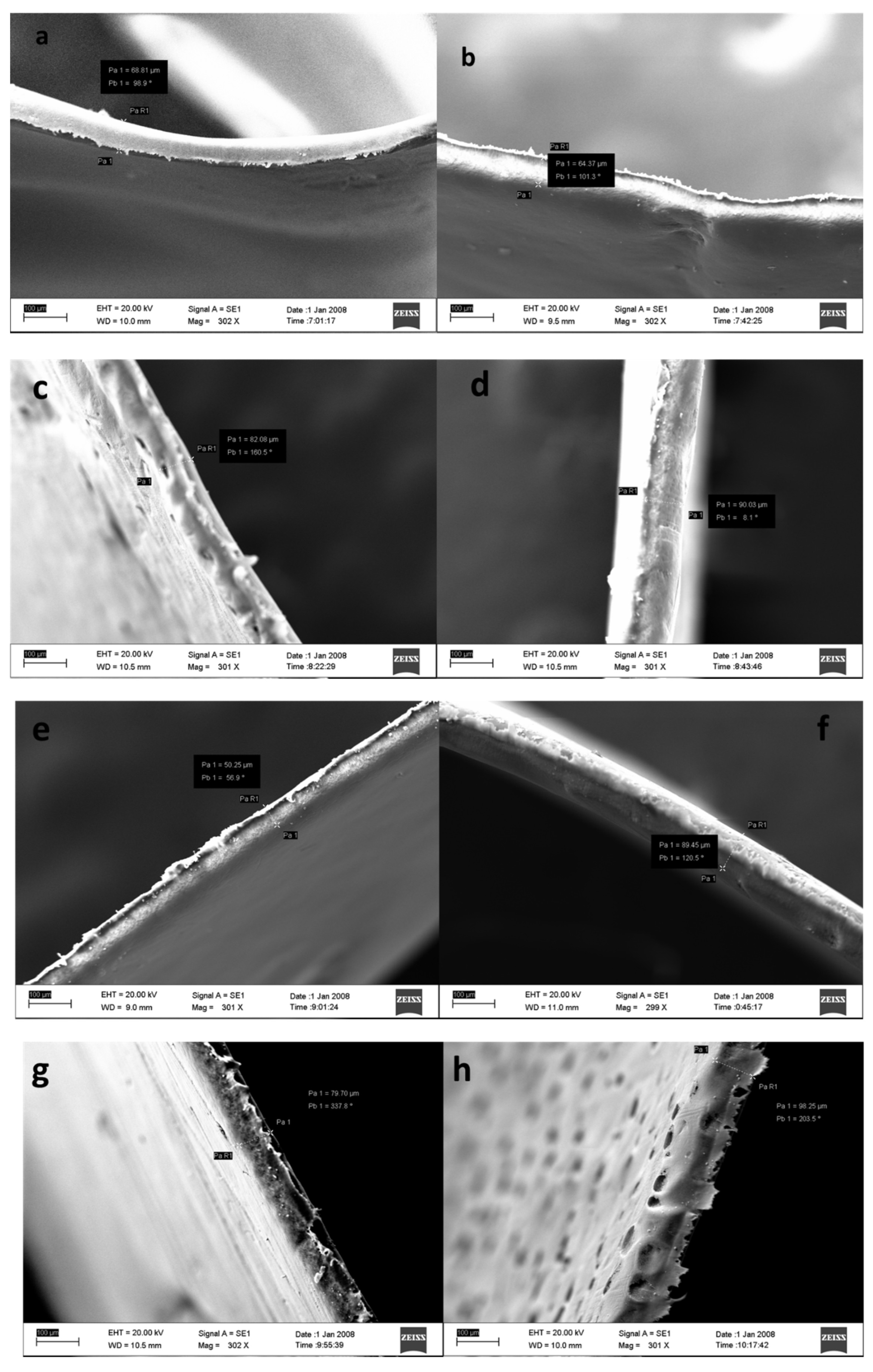 Membranes 13 00611 g003