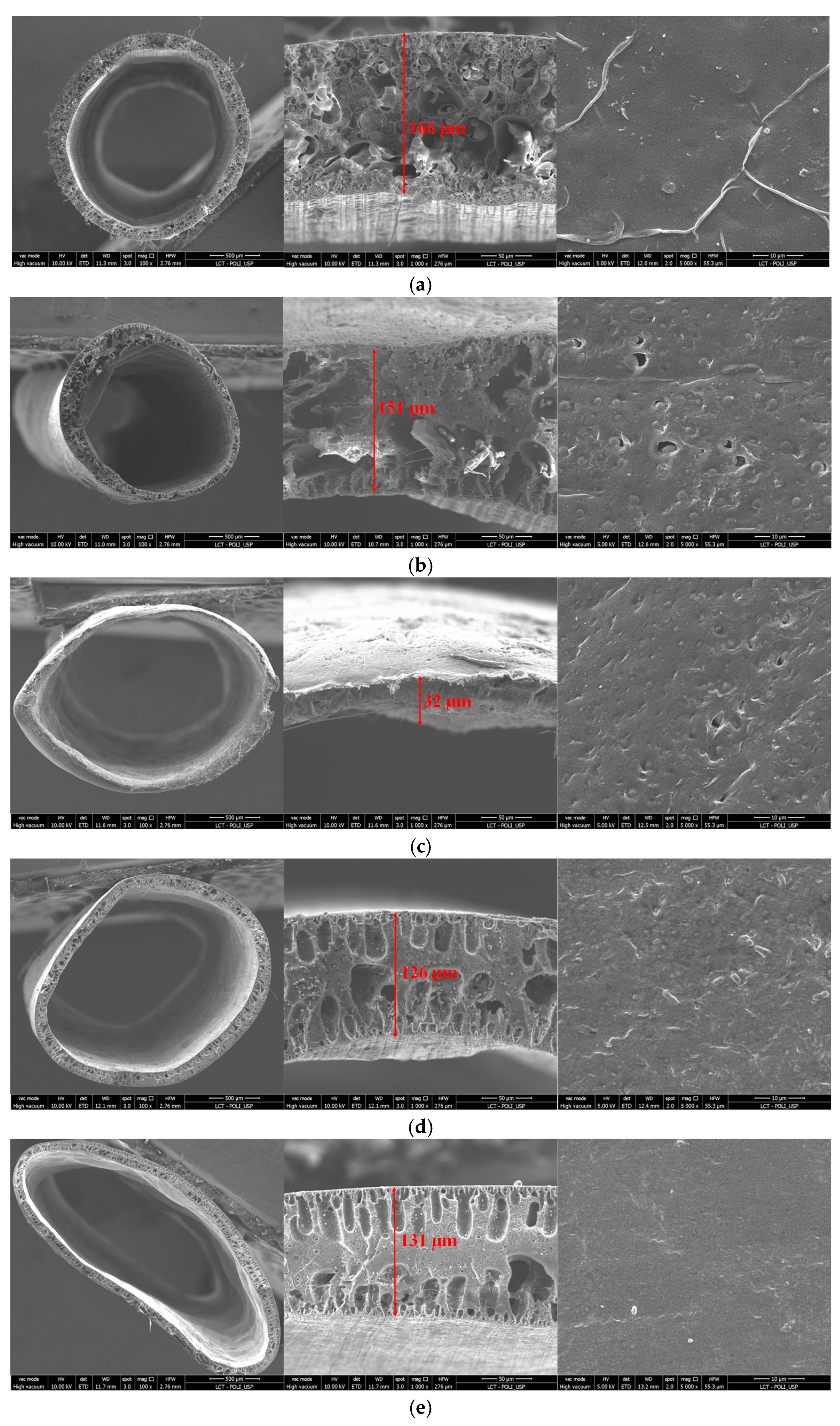 Membranes 13 00613 g005