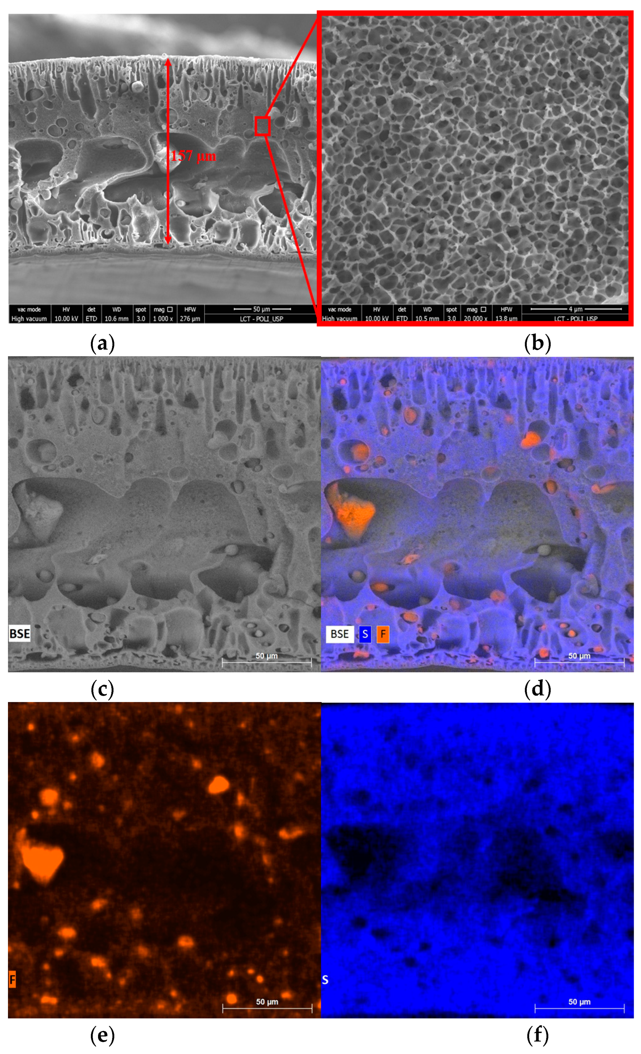 Membranes 13 00613 g006
