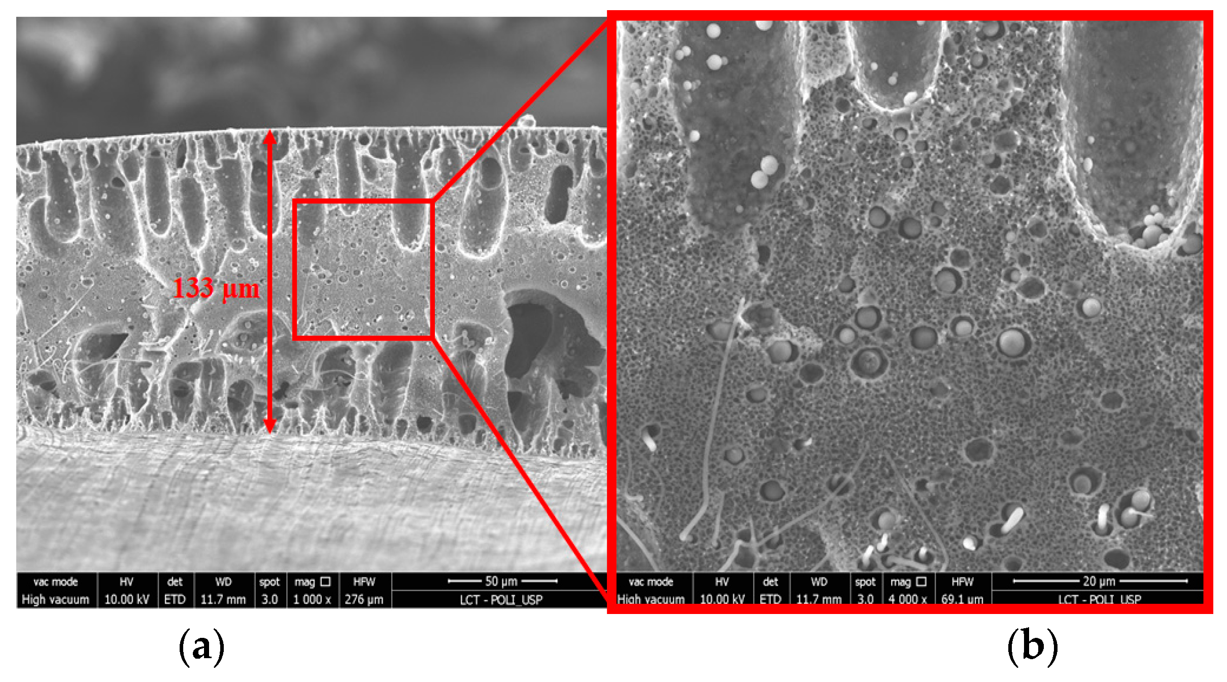 Membranes 13 00613 g007a