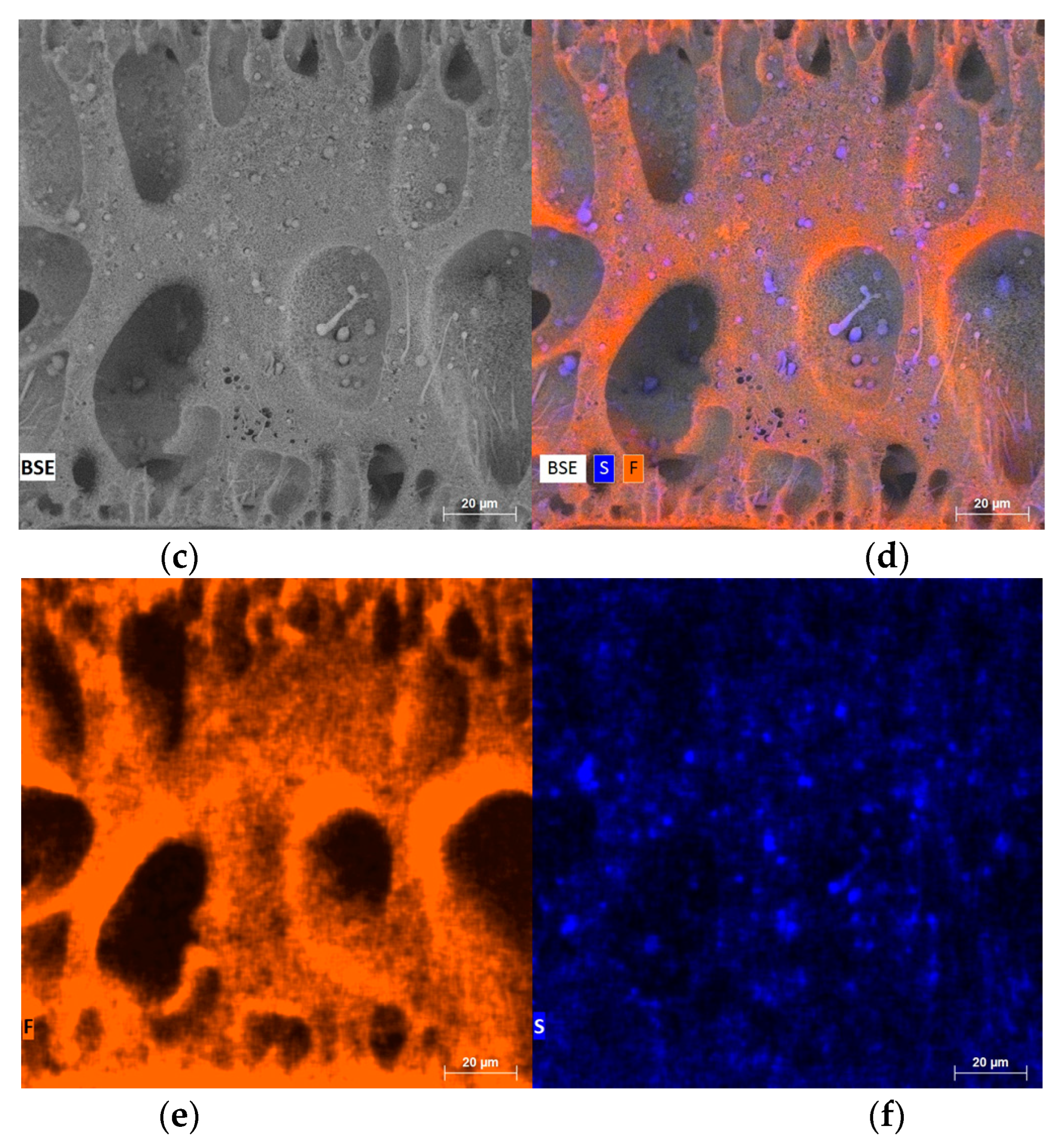 Membranes 13 00613 g007b