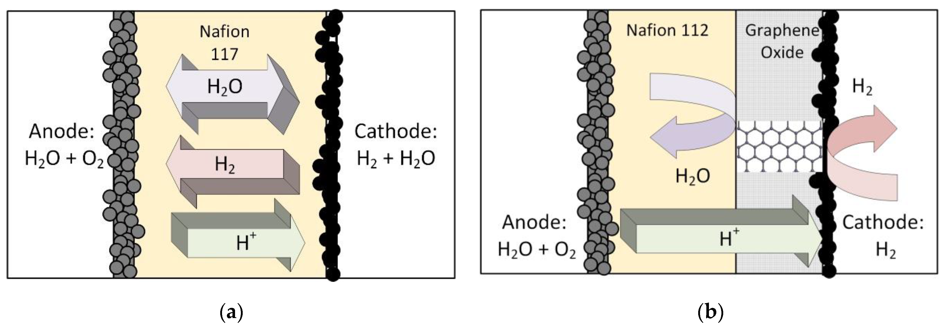 Membranes 13 00614 g002