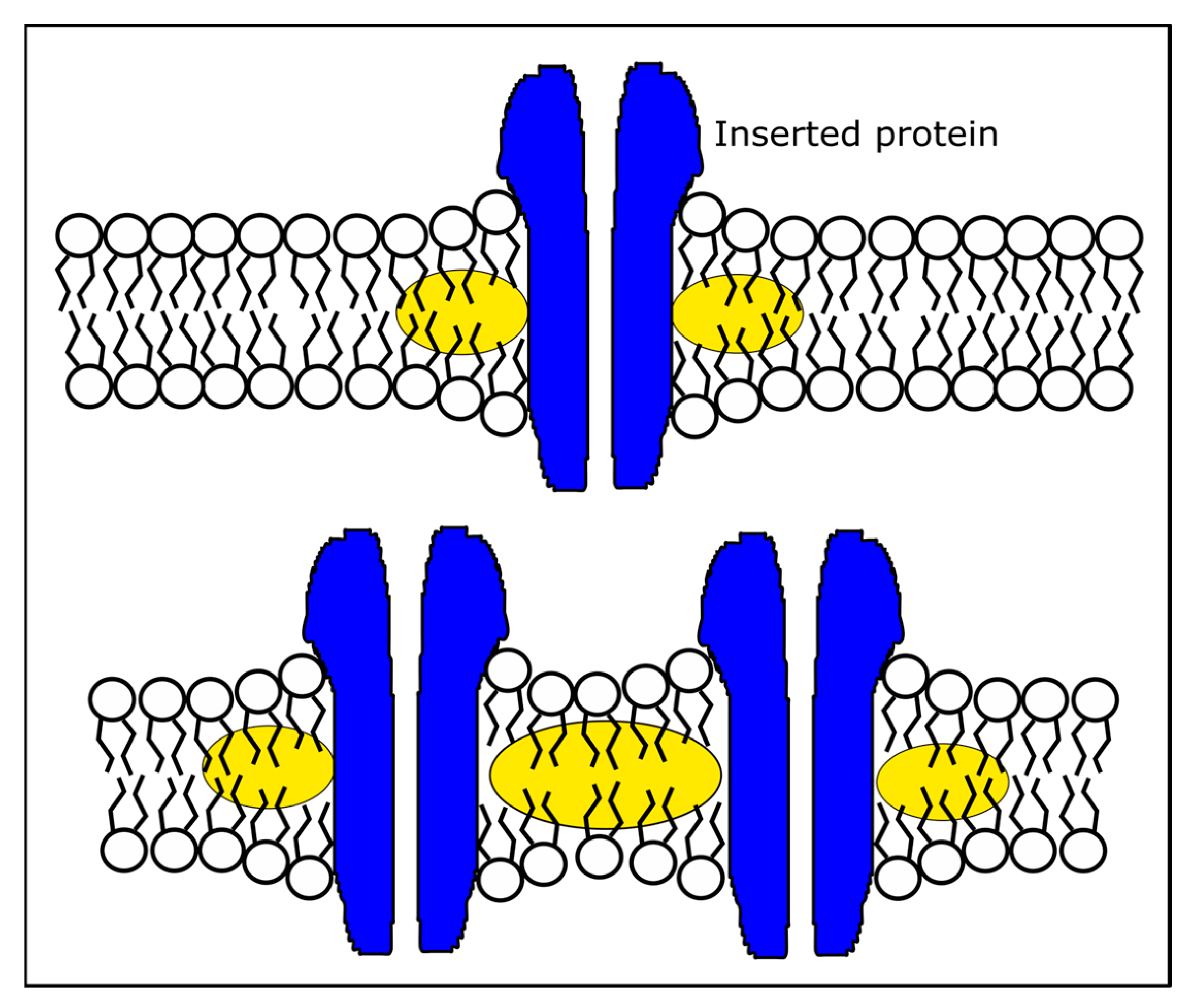 Membranes 13 00620 g006
