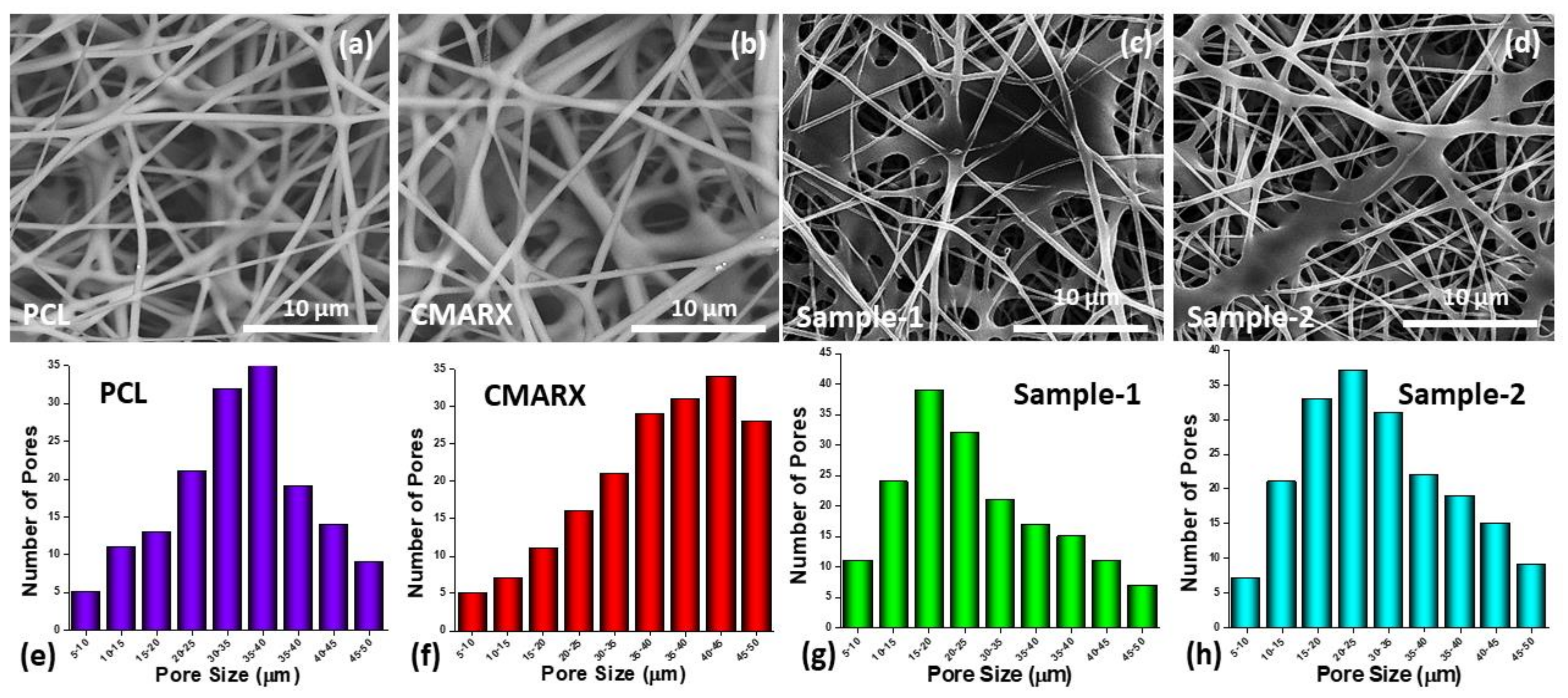 Membranes 13 00622 g002