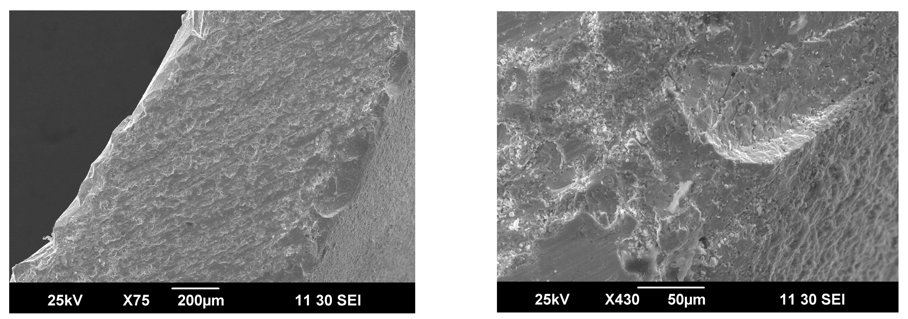 Membranes 13 00626 g006