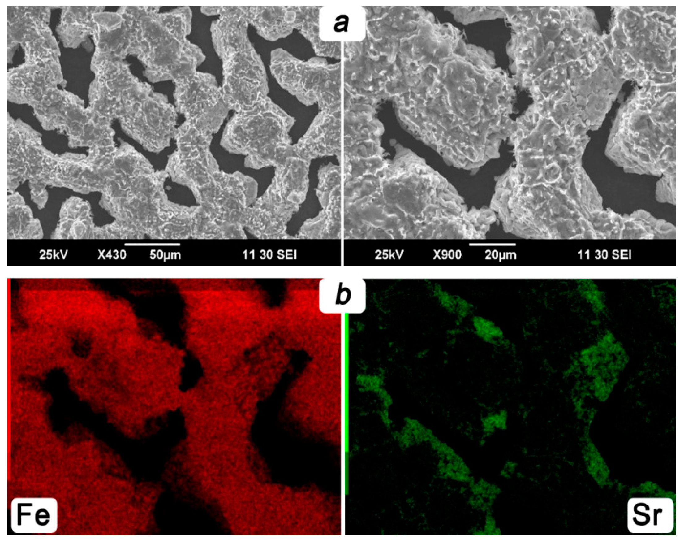 Membranes 13 00626 g008