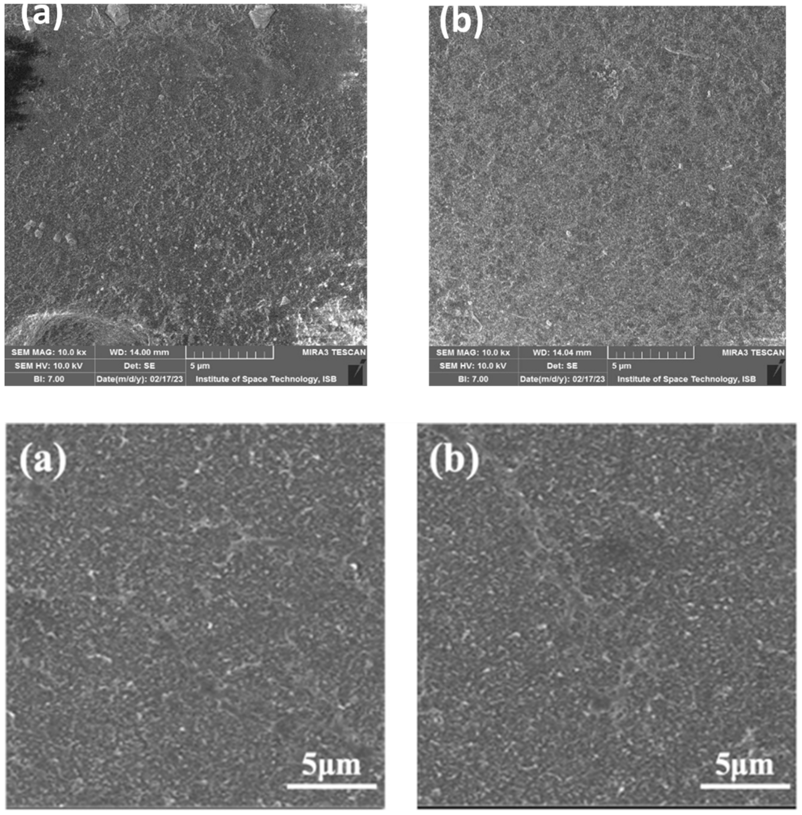 Membranes 13 00628 g007