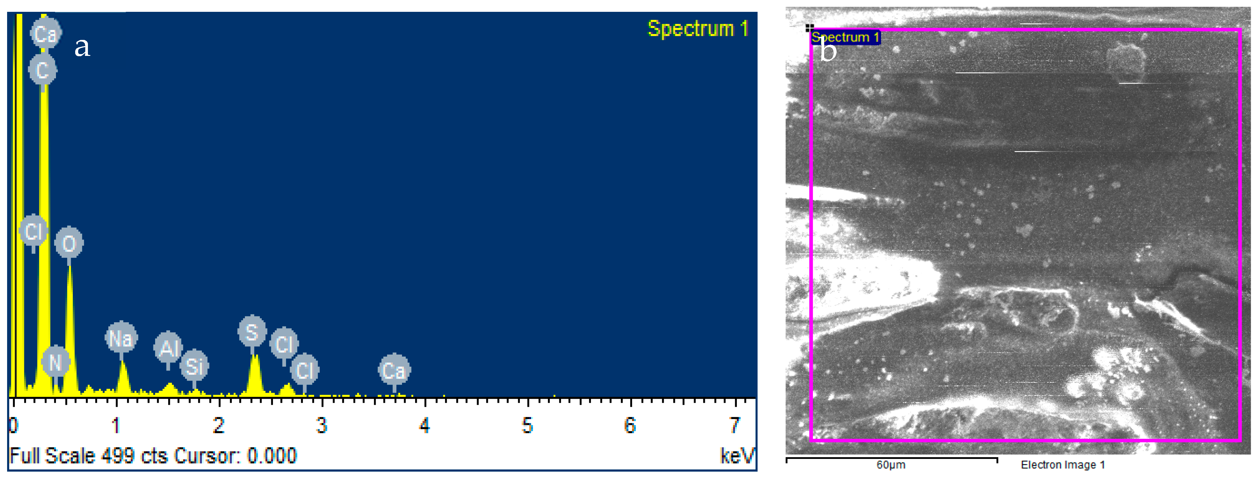 Membranes 13 00628 g009