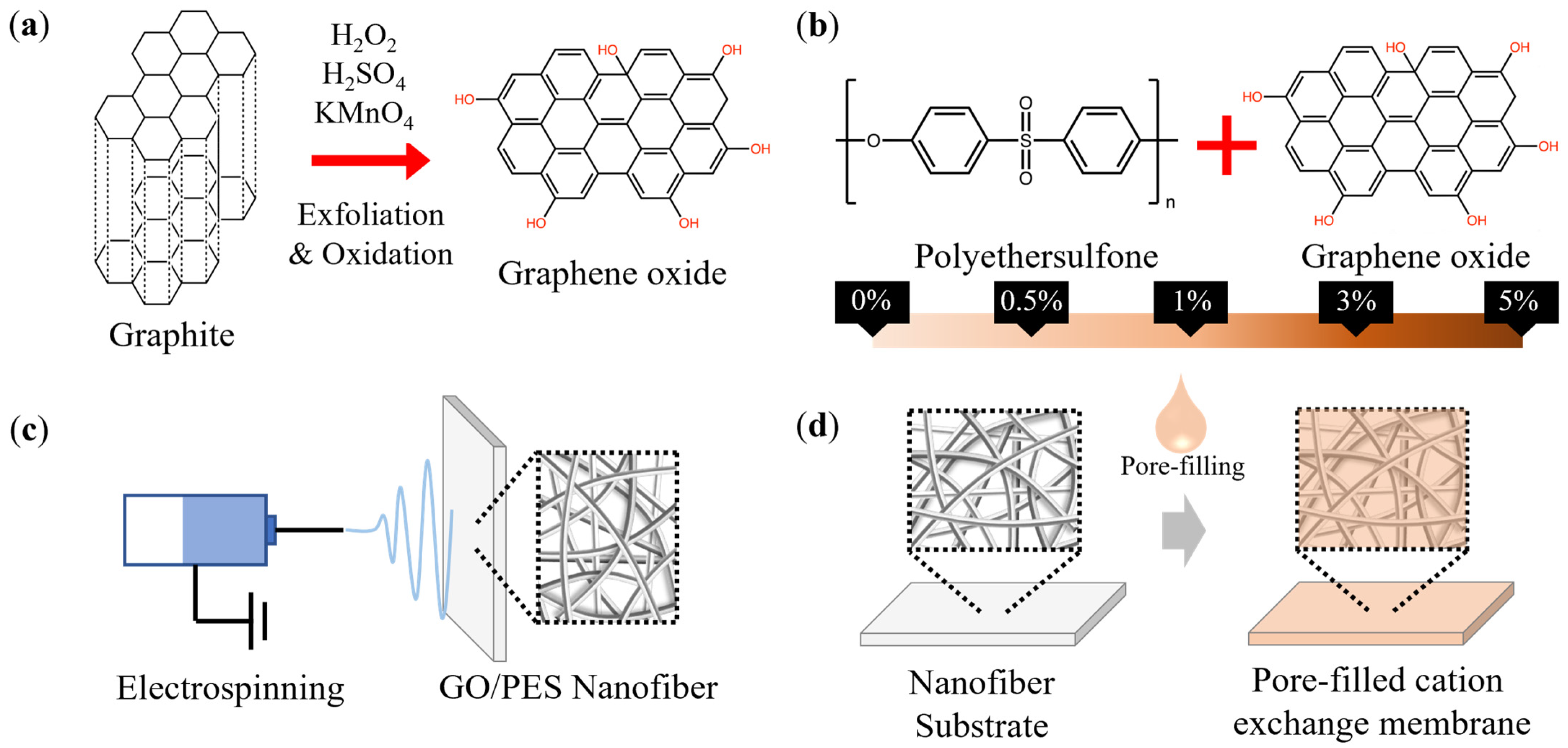 Membranes 13 00633 g001