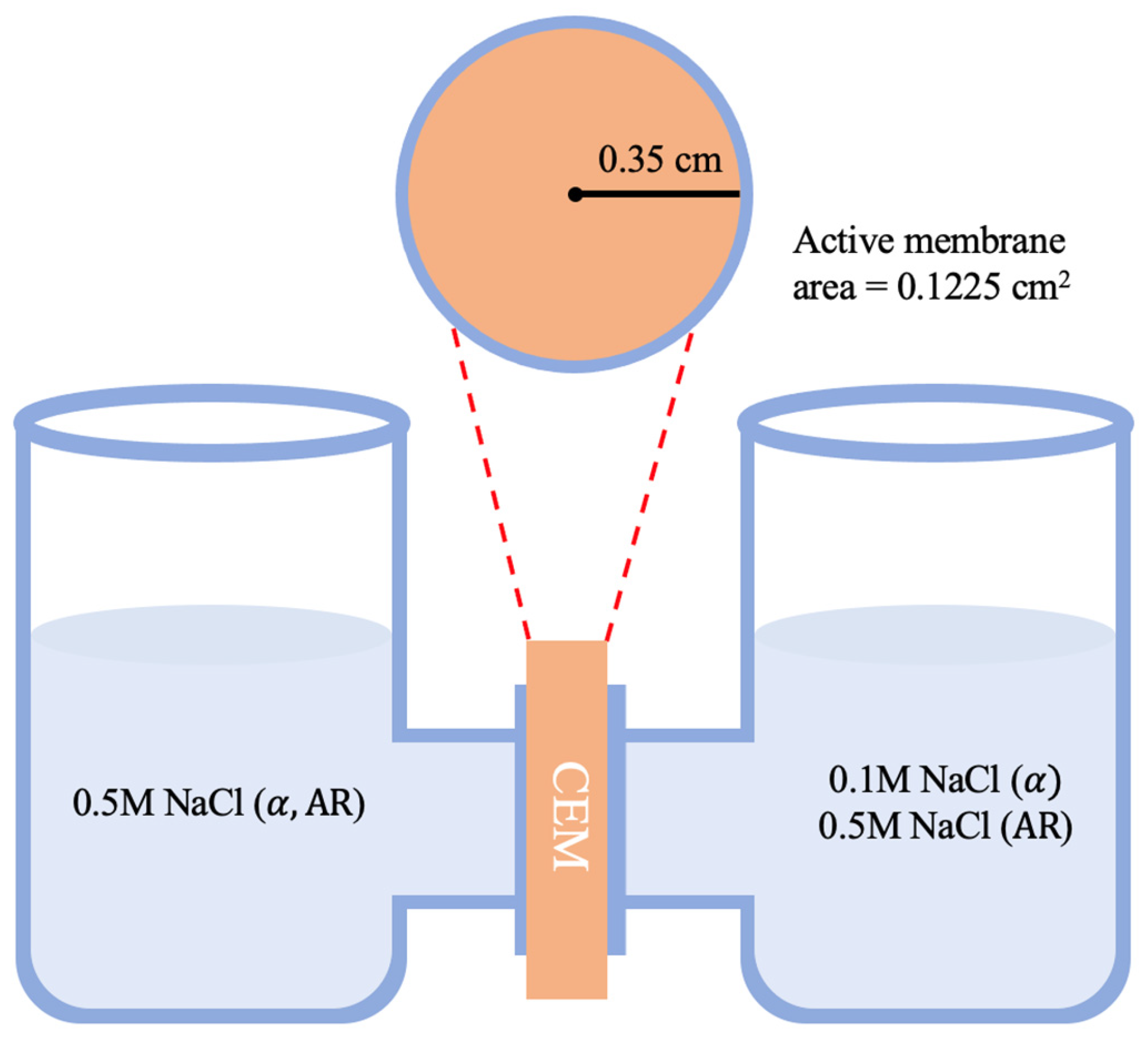 Membranes 13 00633 g002
