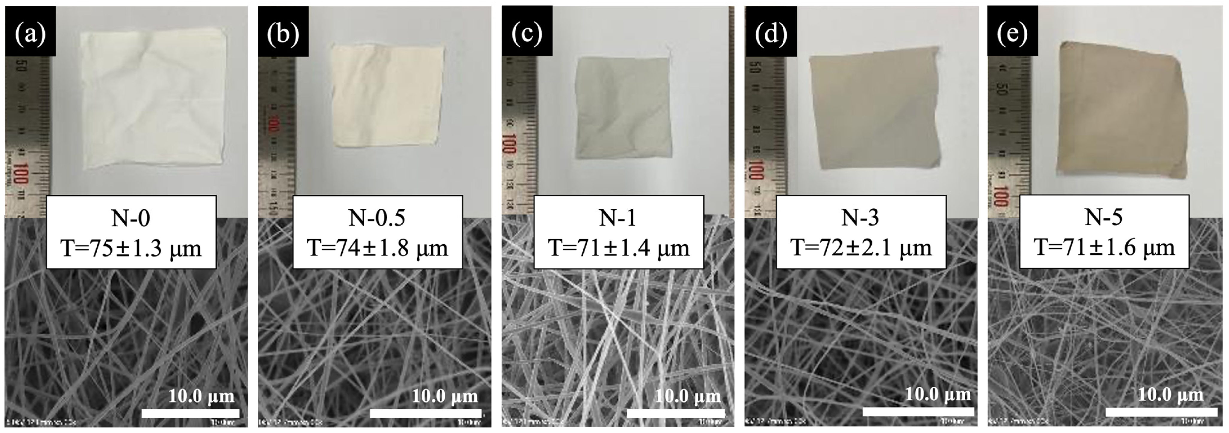 Membranes 13 00633 g004