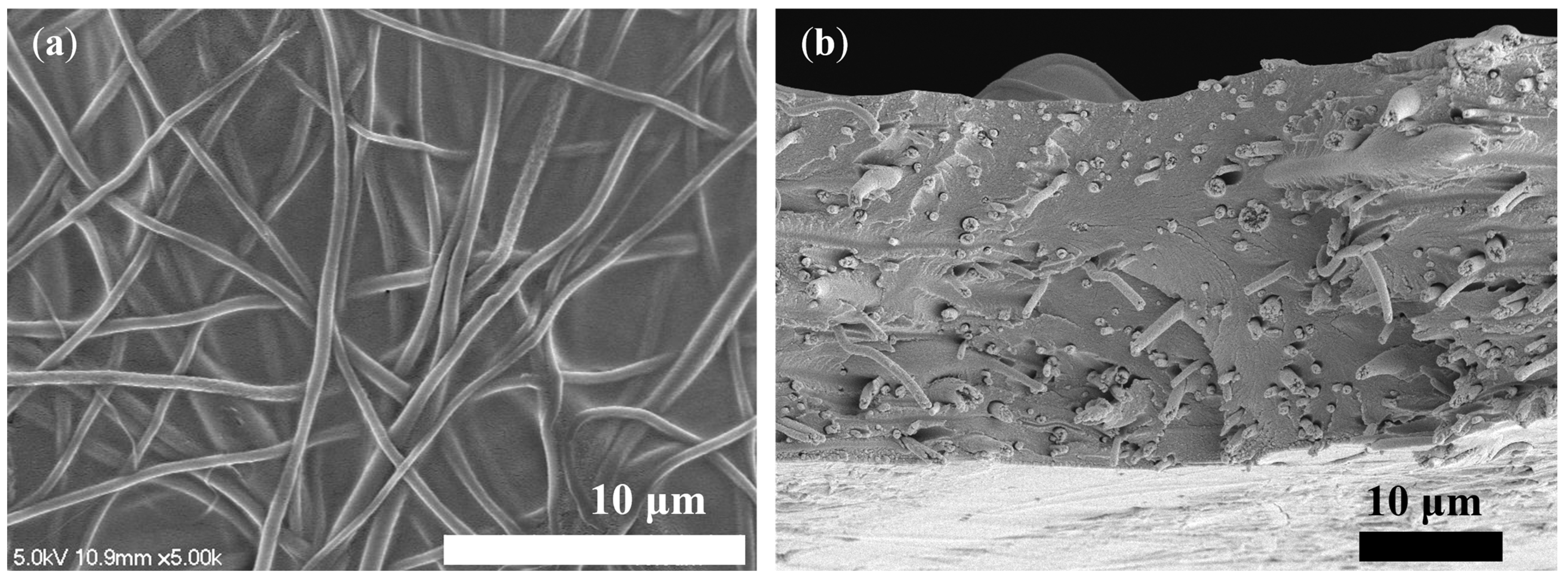Membranes 13 00633 g007