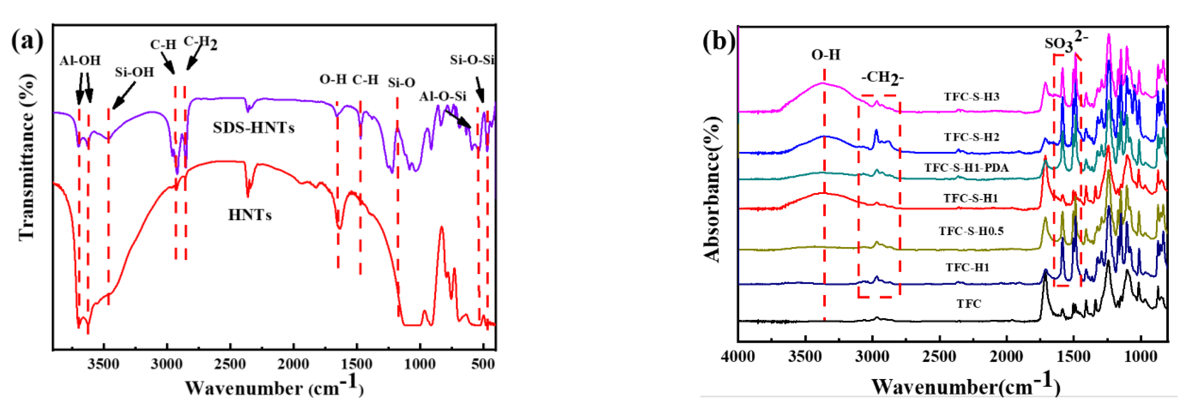Membranes 13 00638 g001a
