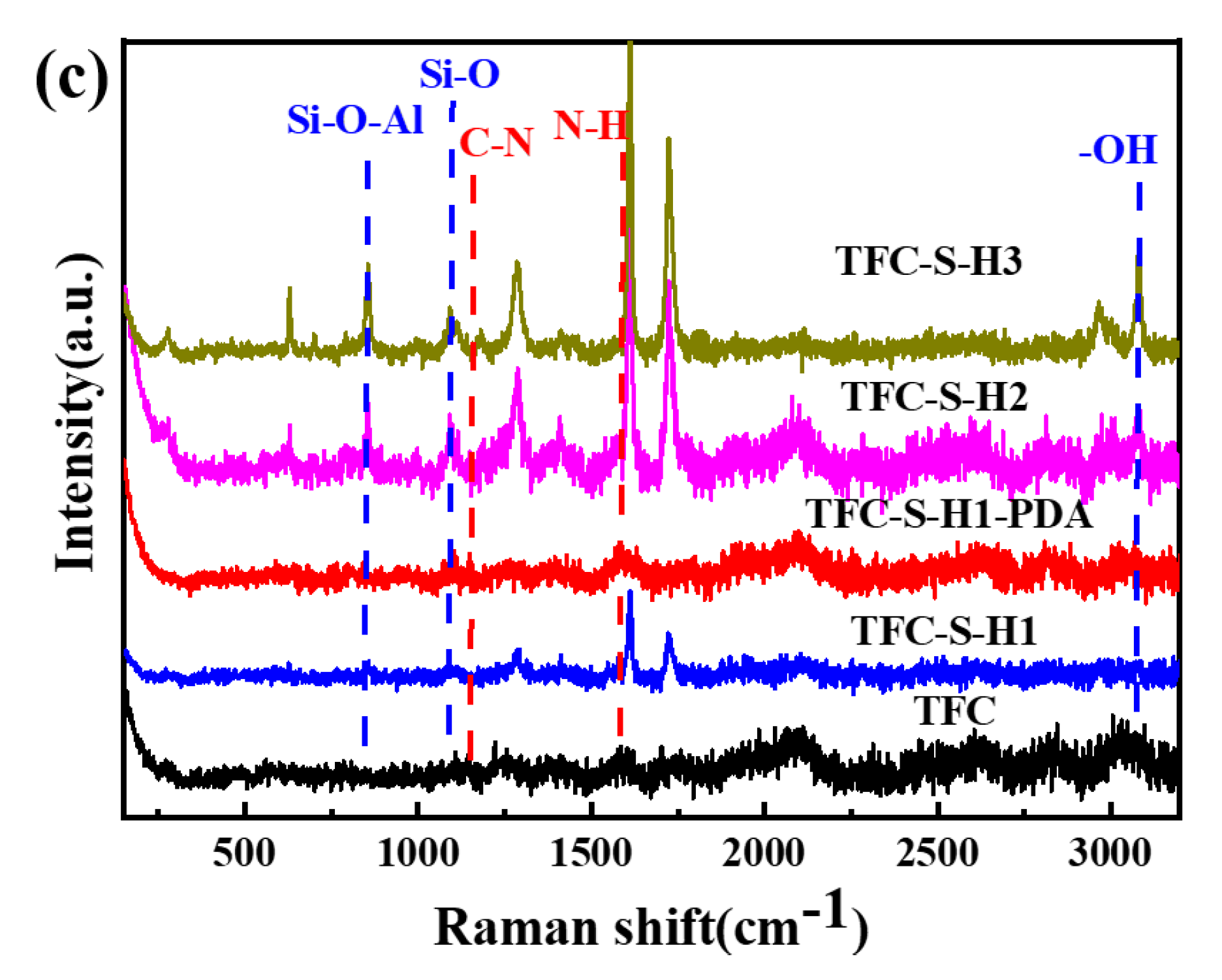 Membranes 13 00638 g001b