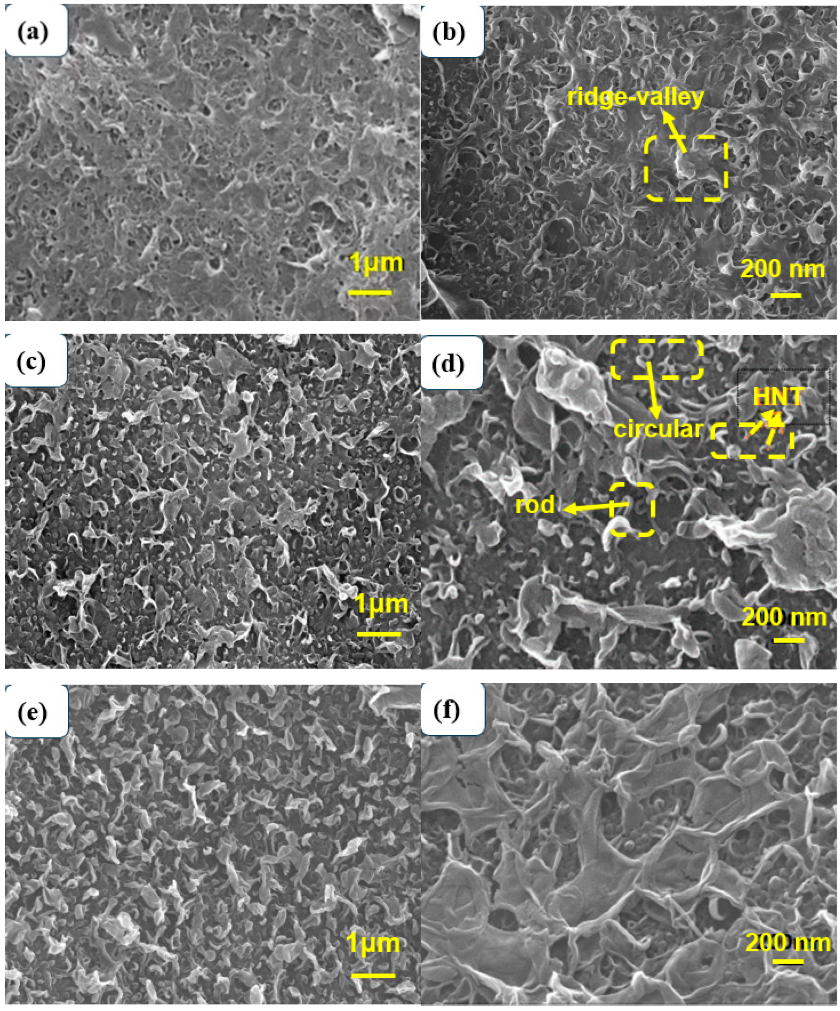 Membranes 13 00638 g003a