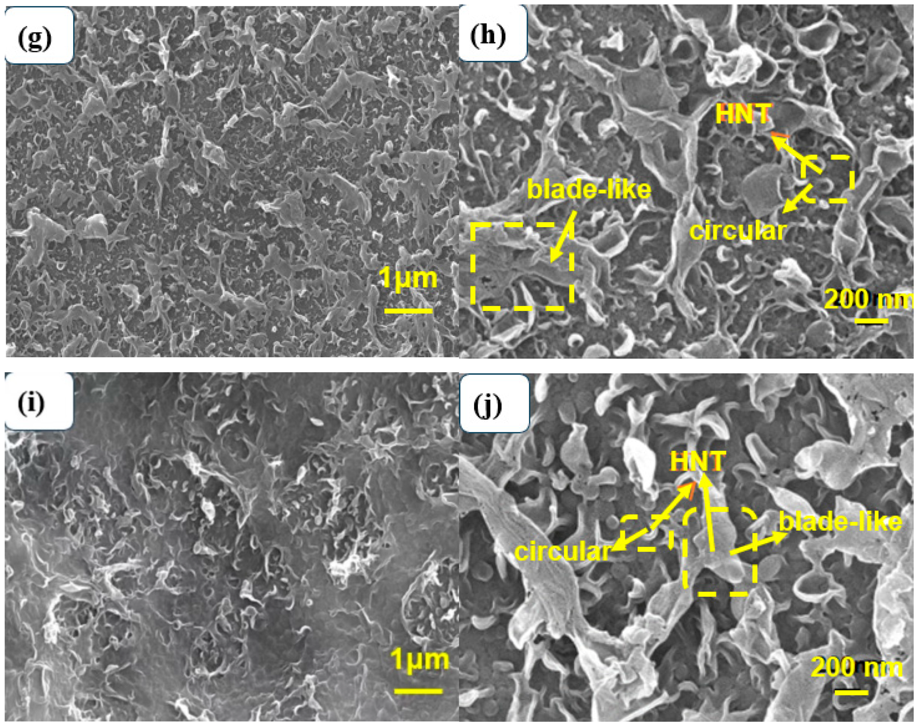 Membranes 13 00638 g003b