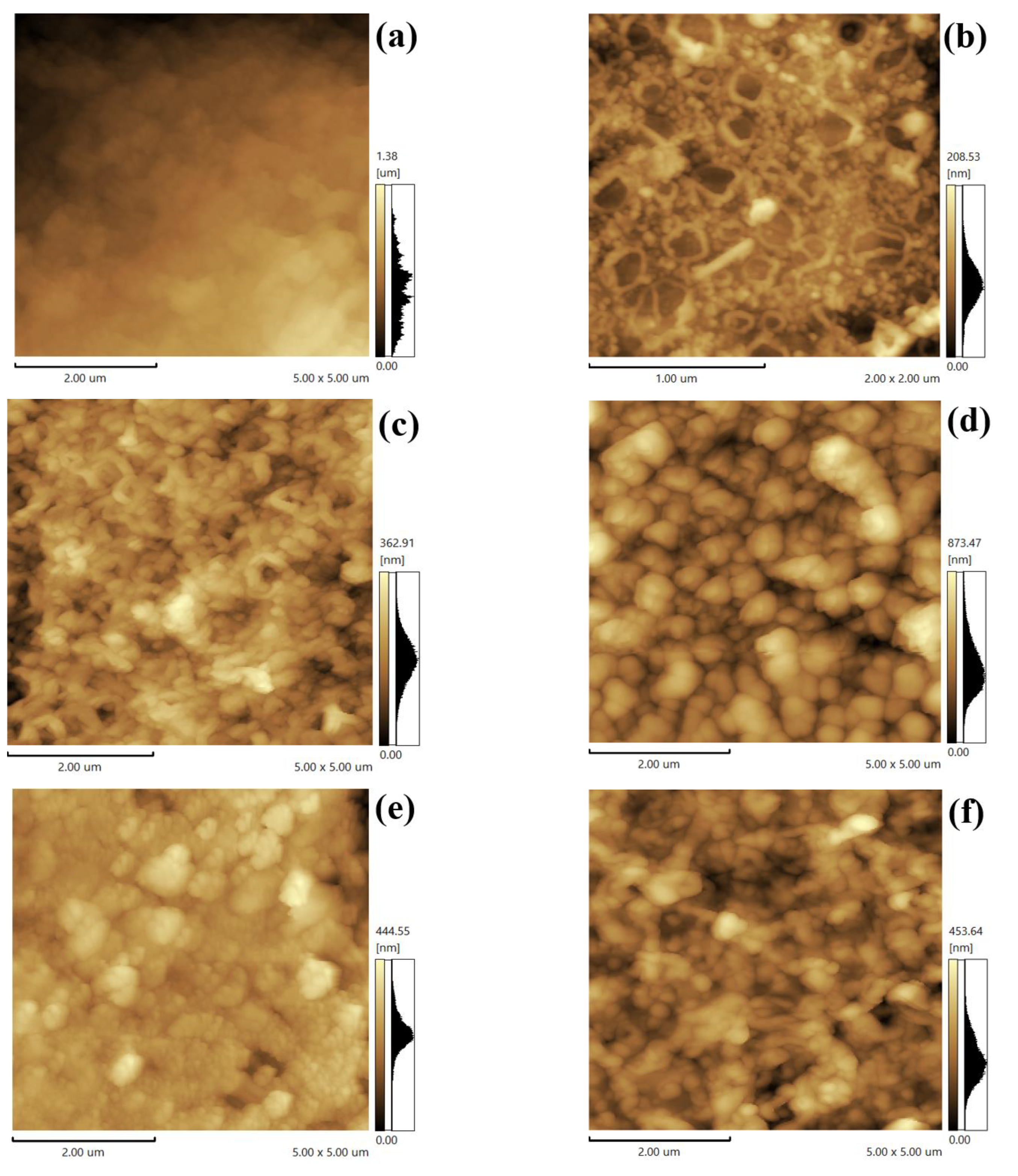 Membranes 13 00638 g004