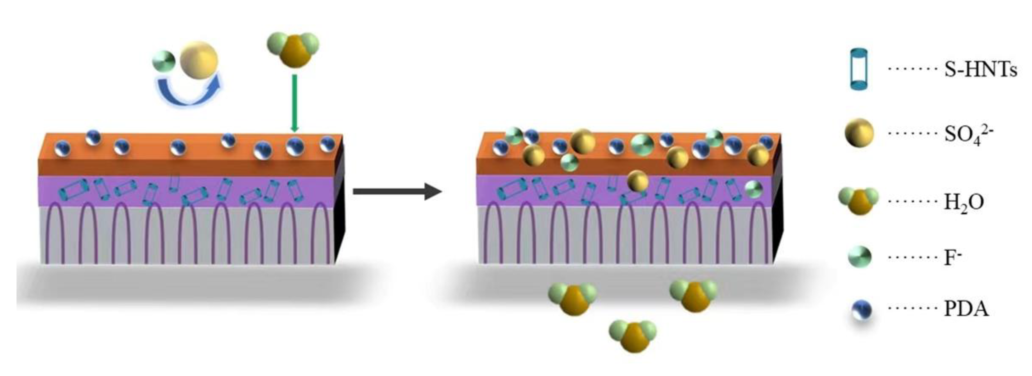 Membranes 13 00638 g011