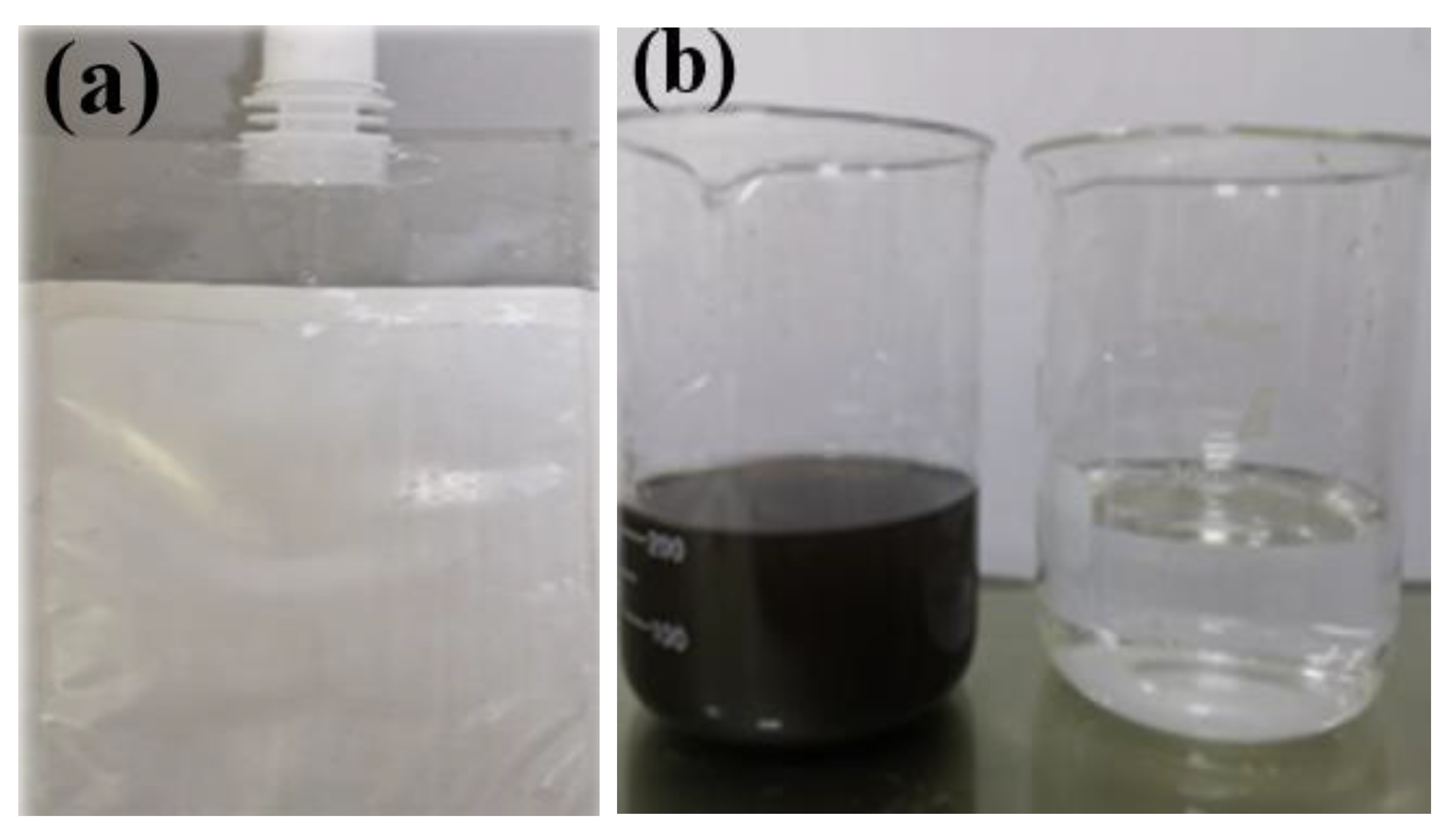 Membranes 13 00638 g012