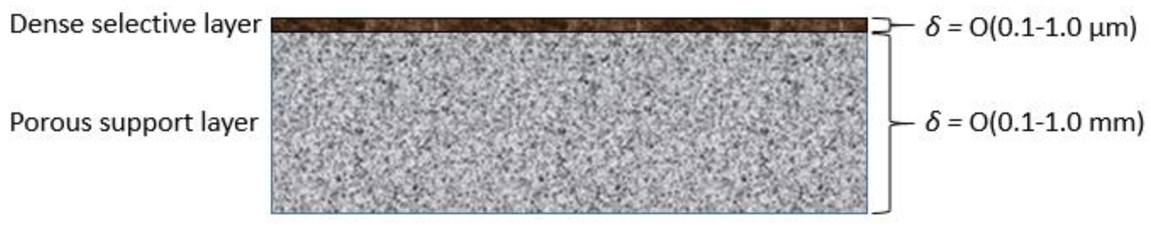 Membranes 13 00639 g001