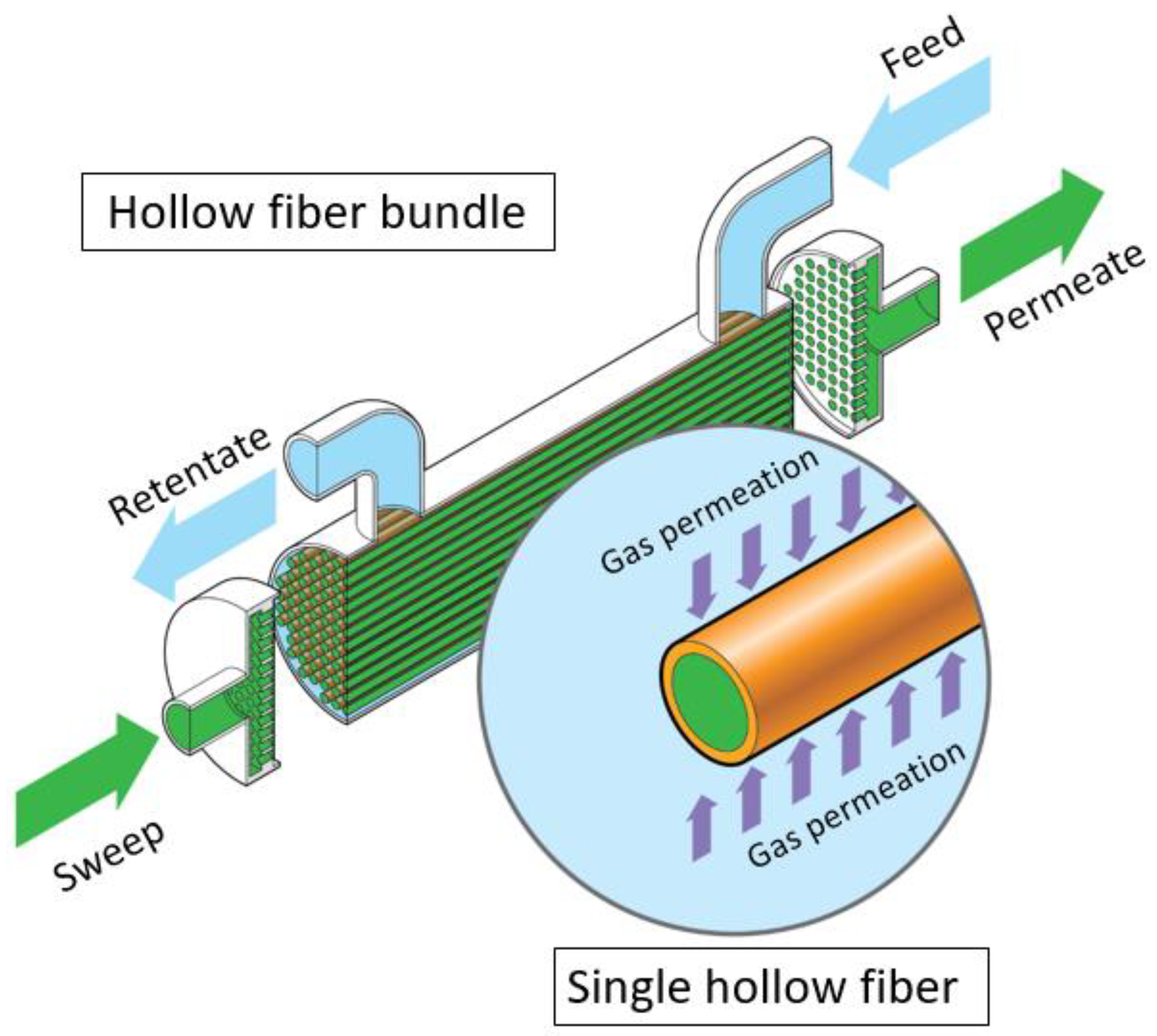 Membranes 13 00639 g005