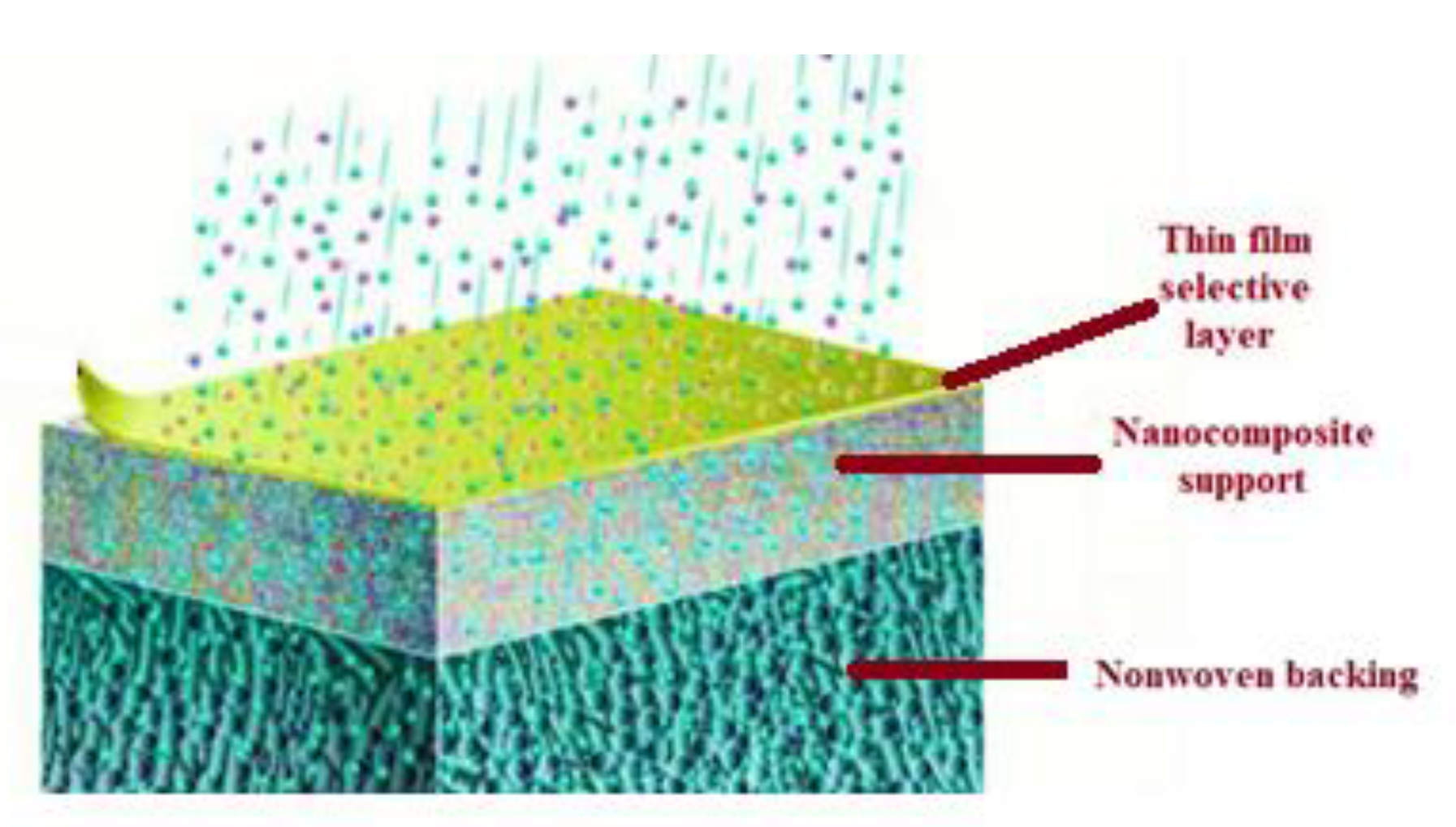 Membranes 13 00643 g010