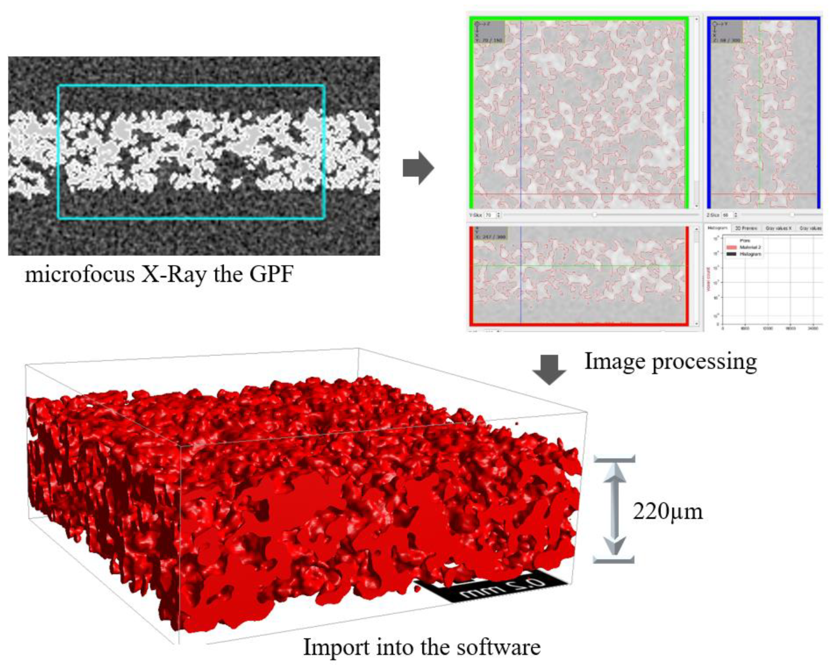 Membranes 13 00644 g003
