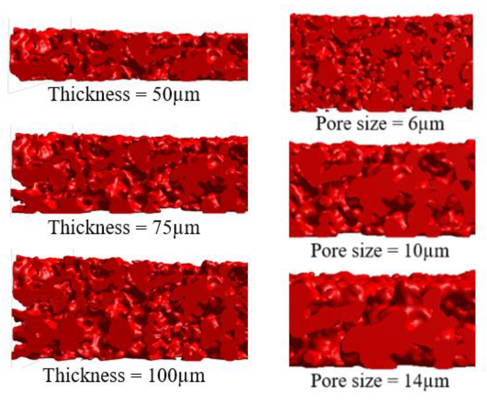 Membranes 13 00644 g004