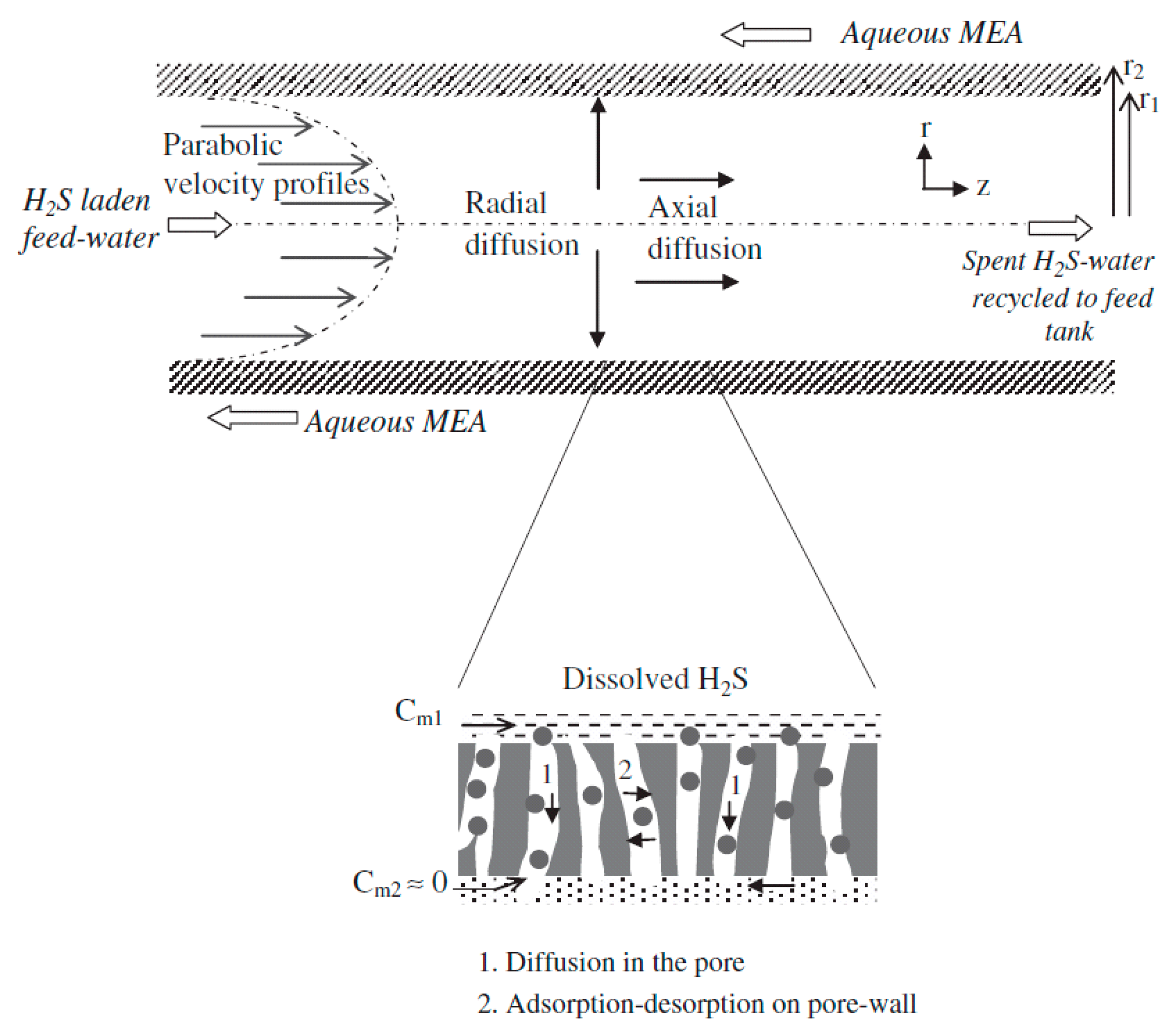 Membranes 13 00646 g004