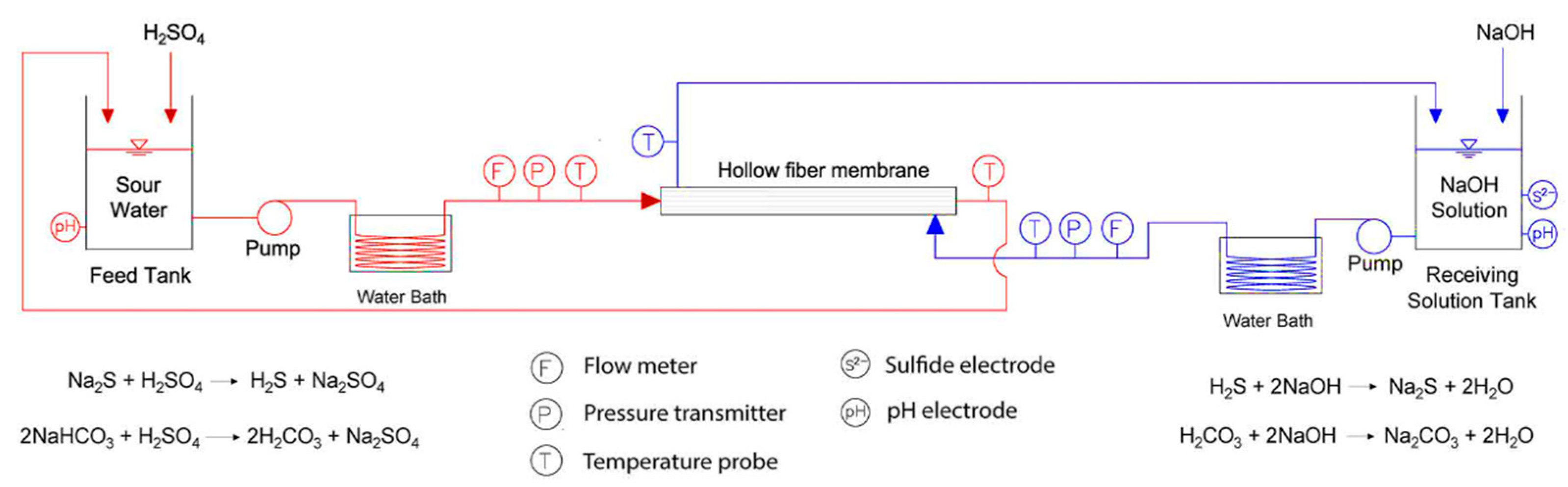 Membranes 13 00646 g006