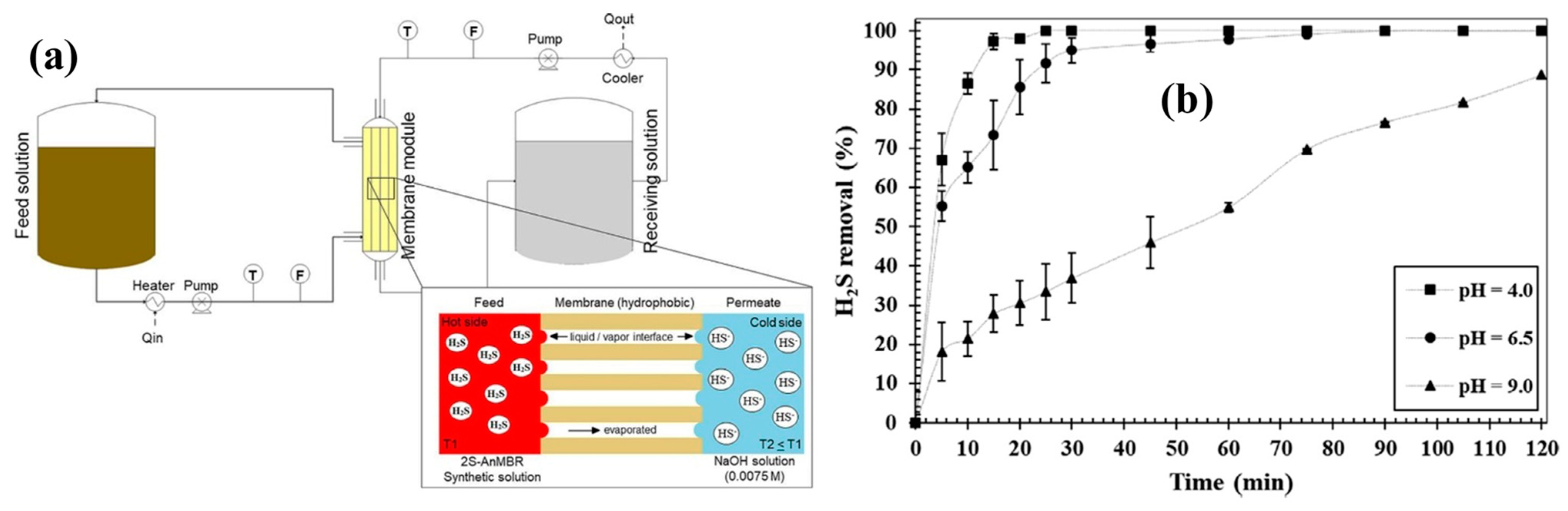 Membranes 13 00646 g008