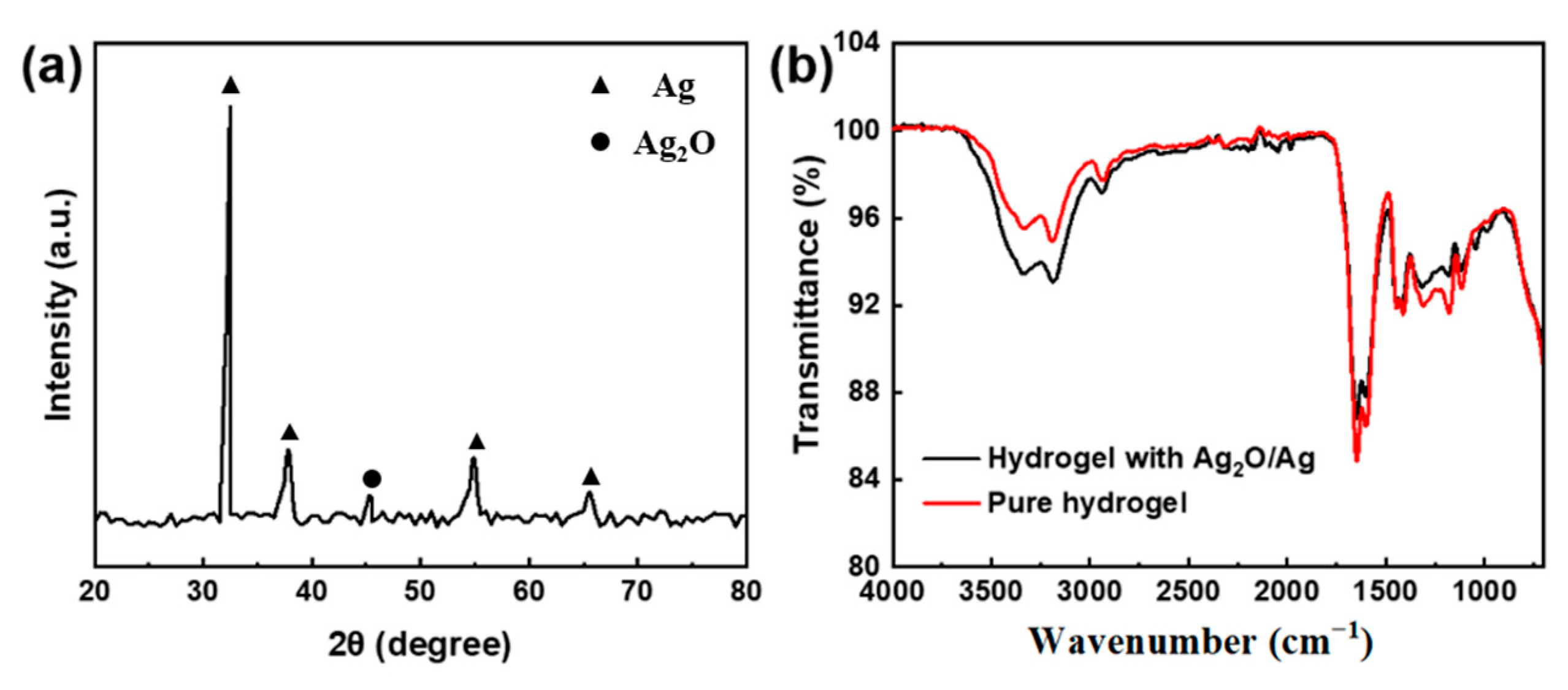 Membranes 13 00648 g003