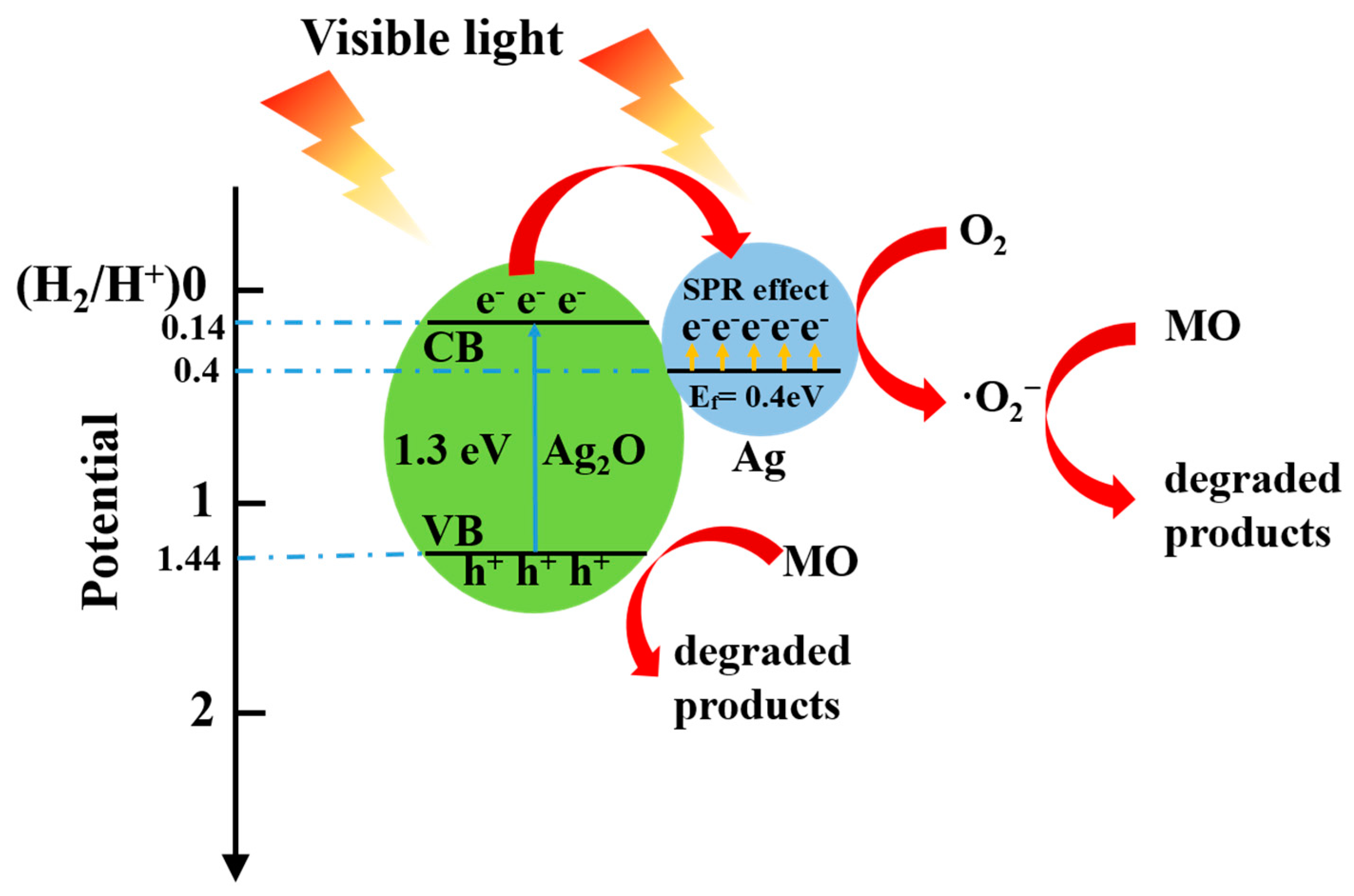 Membranes 13 00648 g007