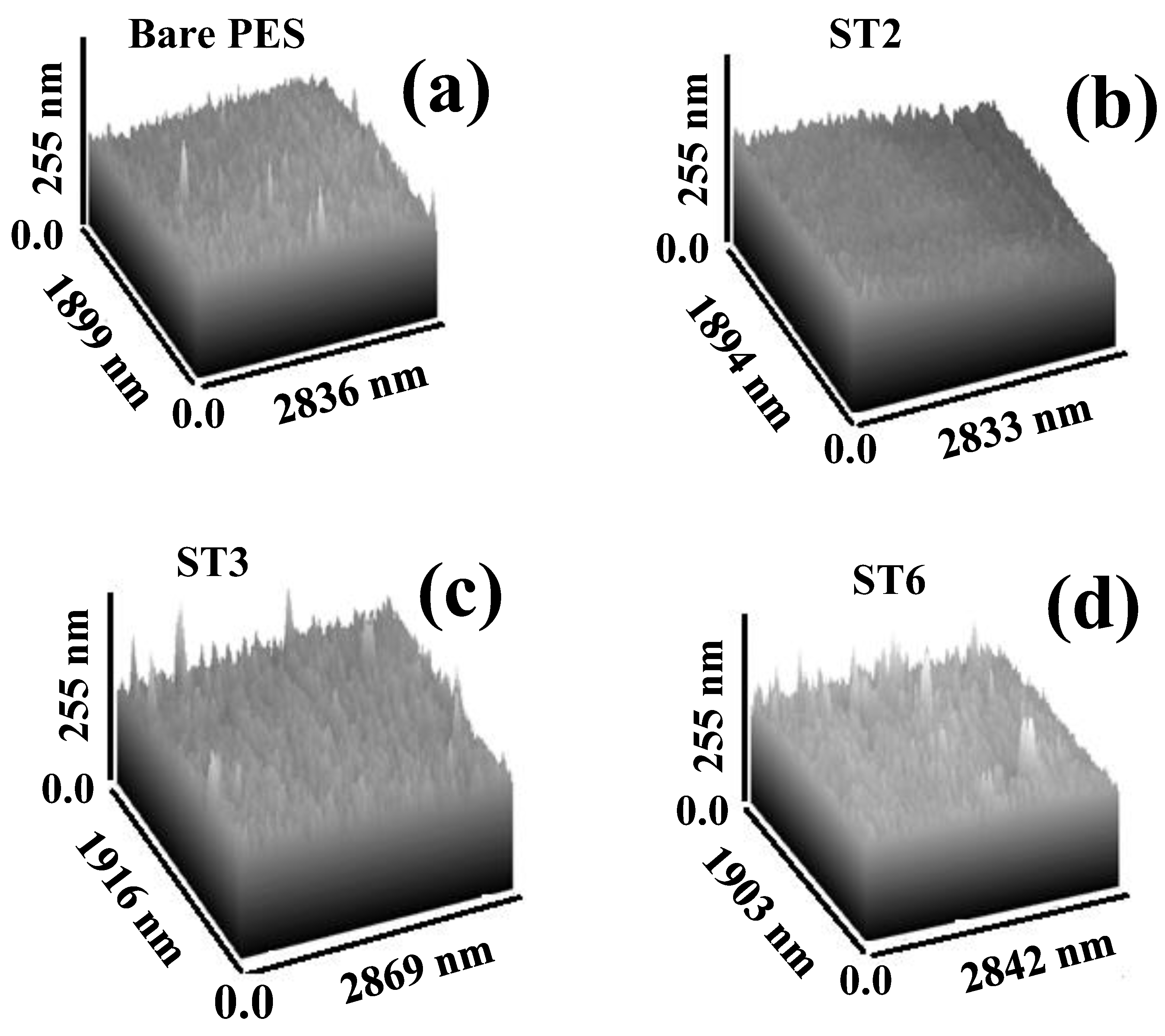 Membranes 13 00654 g005