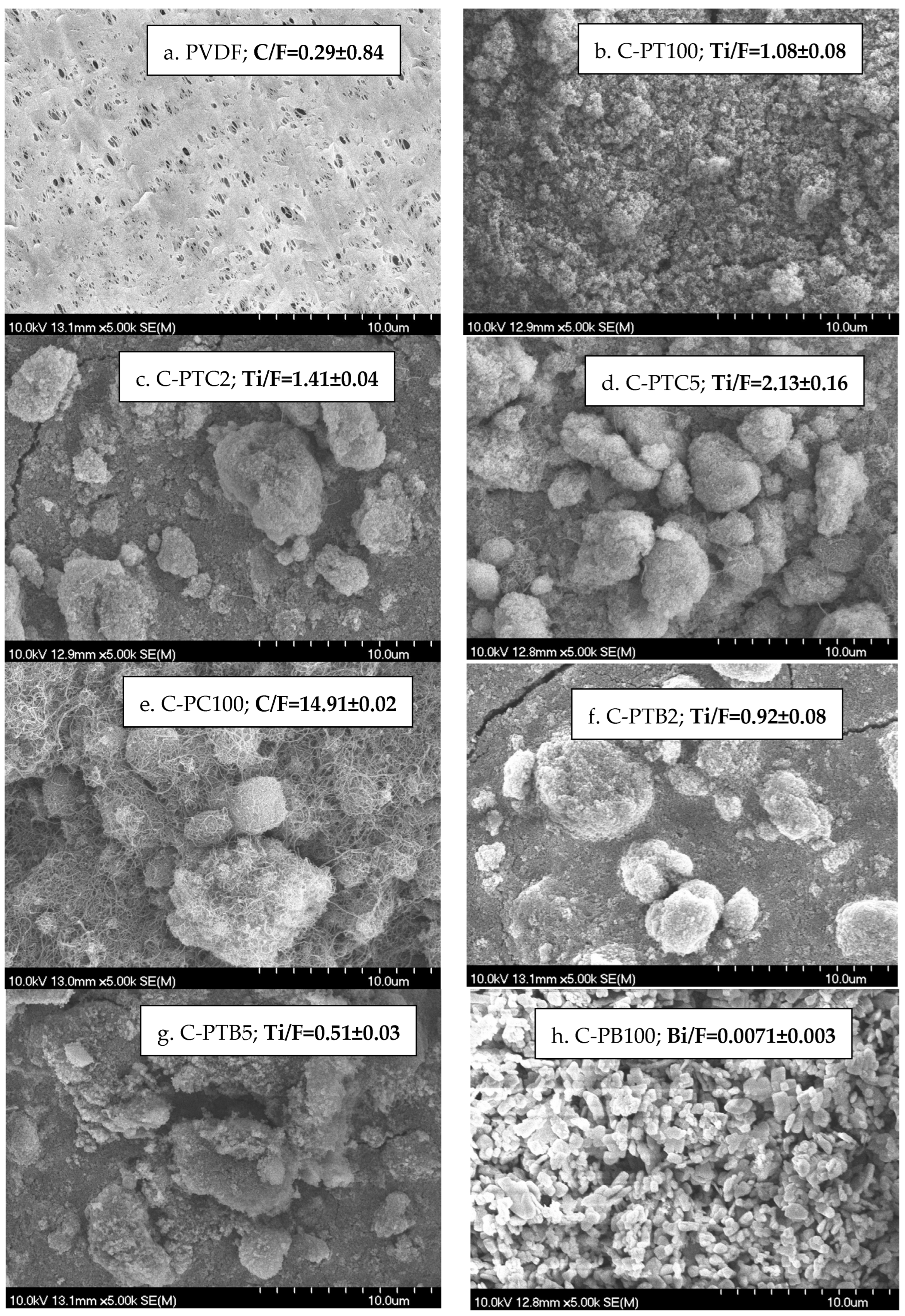 Membranes 13 00656 g004 Membranes 13 00656 g004