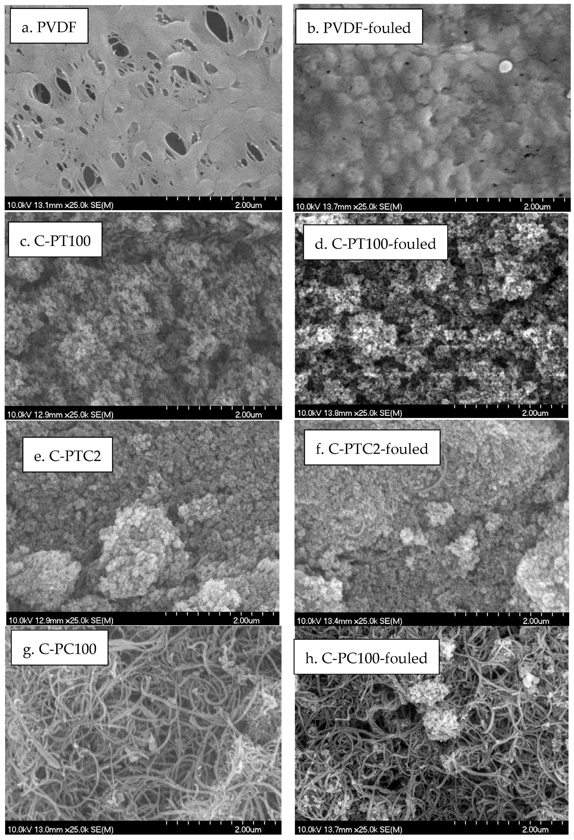 Membranes 13 00656 g009a Membranes 13 00656 g009a