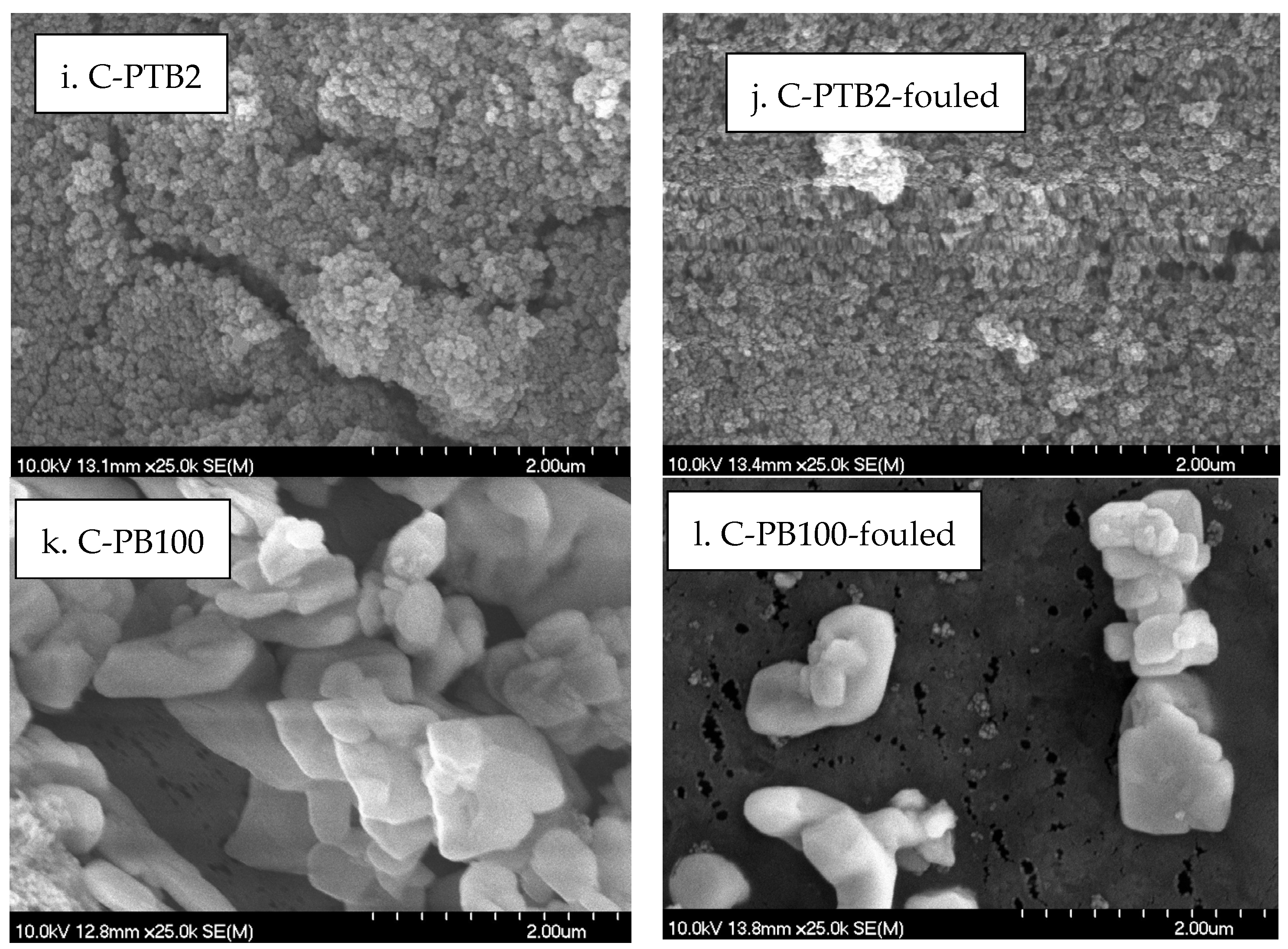 Membranes 13 00656 g009b Membranes 13 00656 g009b